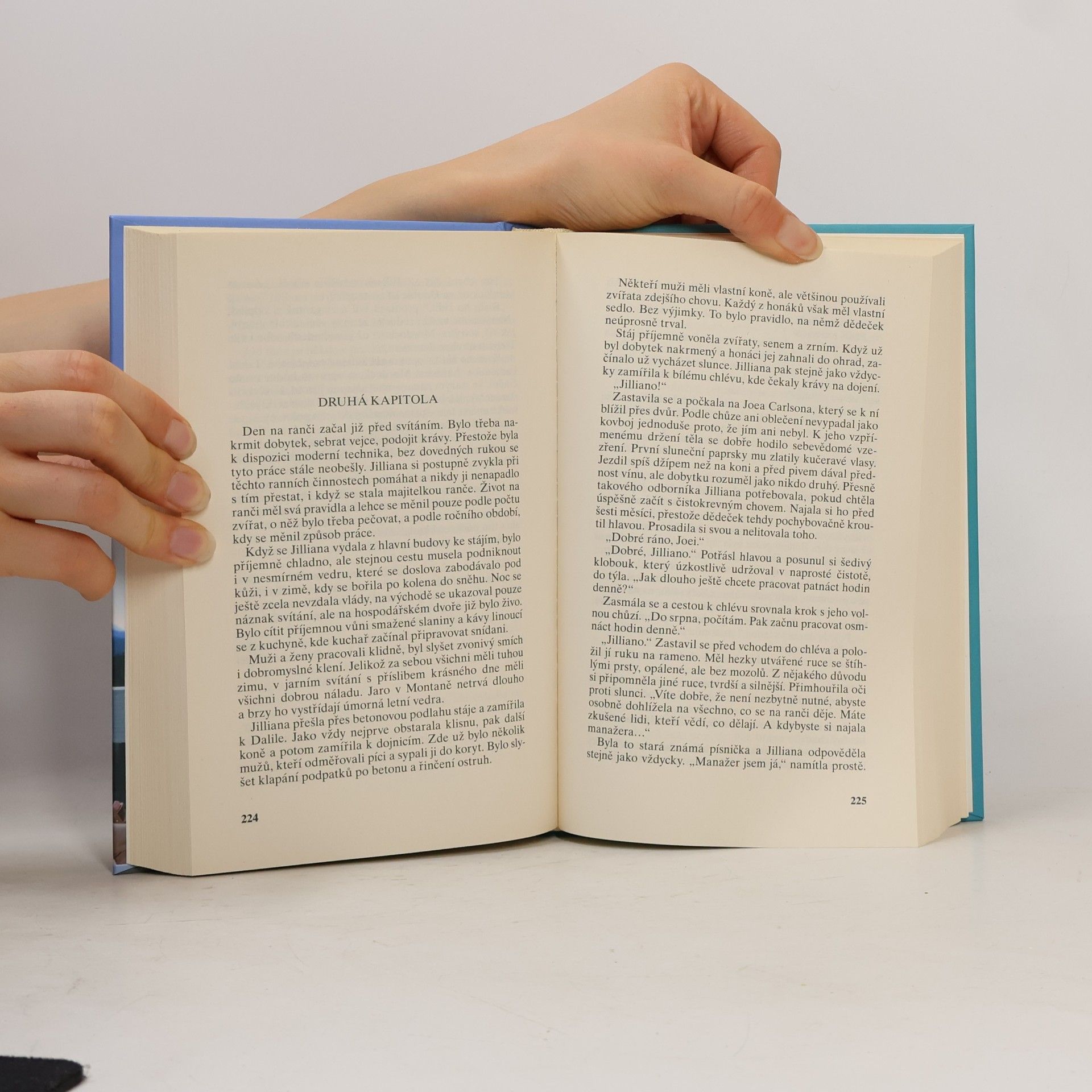 Nora Roberts Náhlá vzplanutí