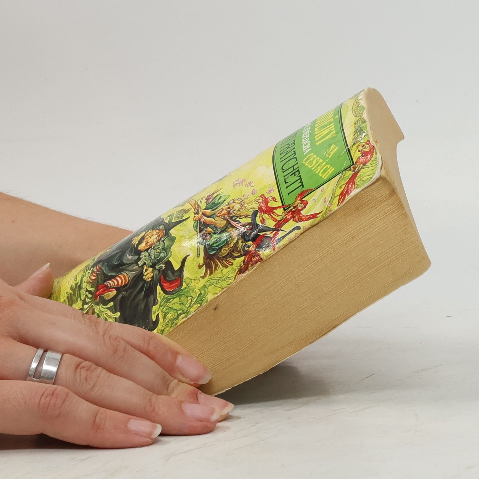 Terry Pratchett Čarodějky na cestách