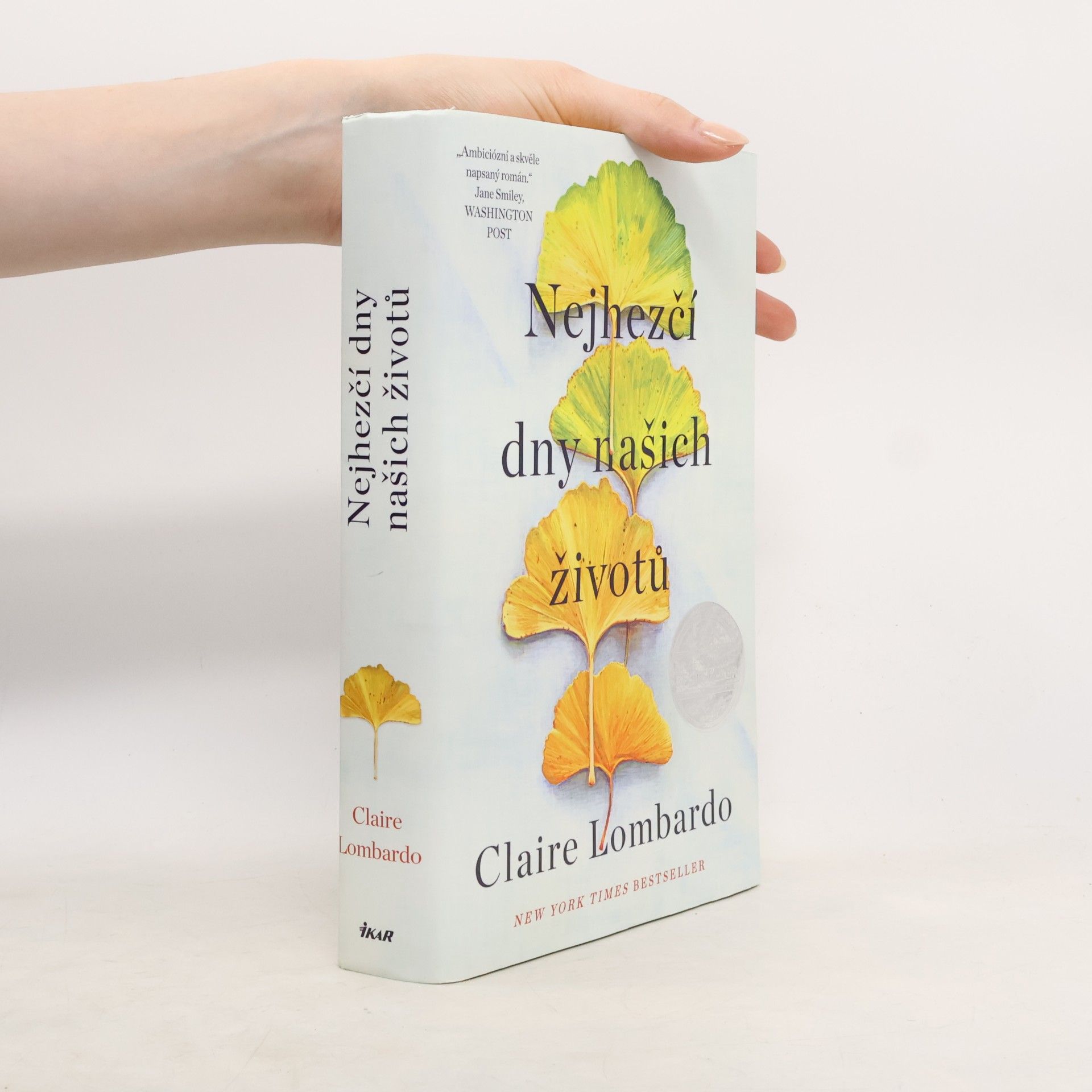 Claire Lombardo Nejhezčí dny našich životů