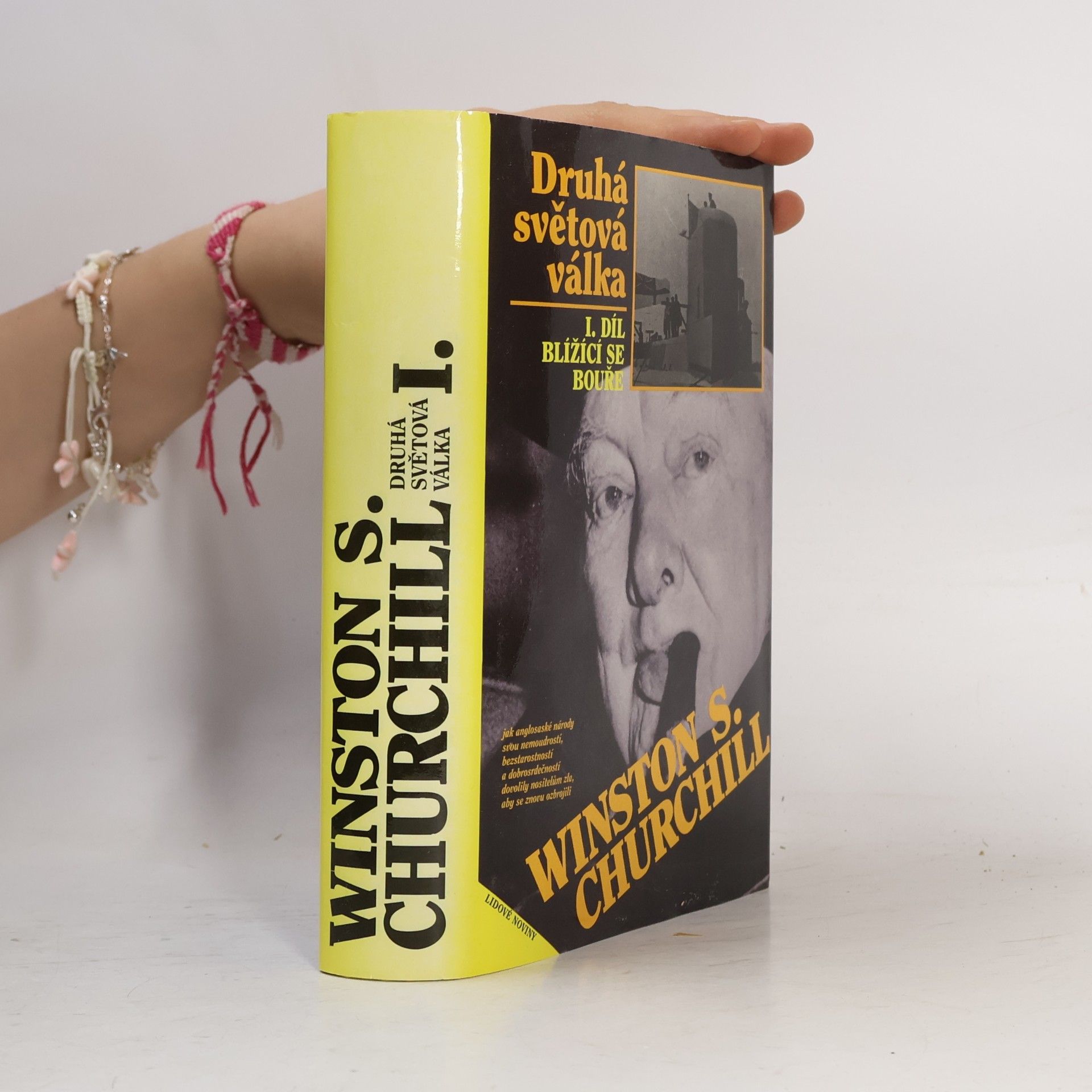 Winston S. Churchill Druhá světová válka. I. Blížící se bouře