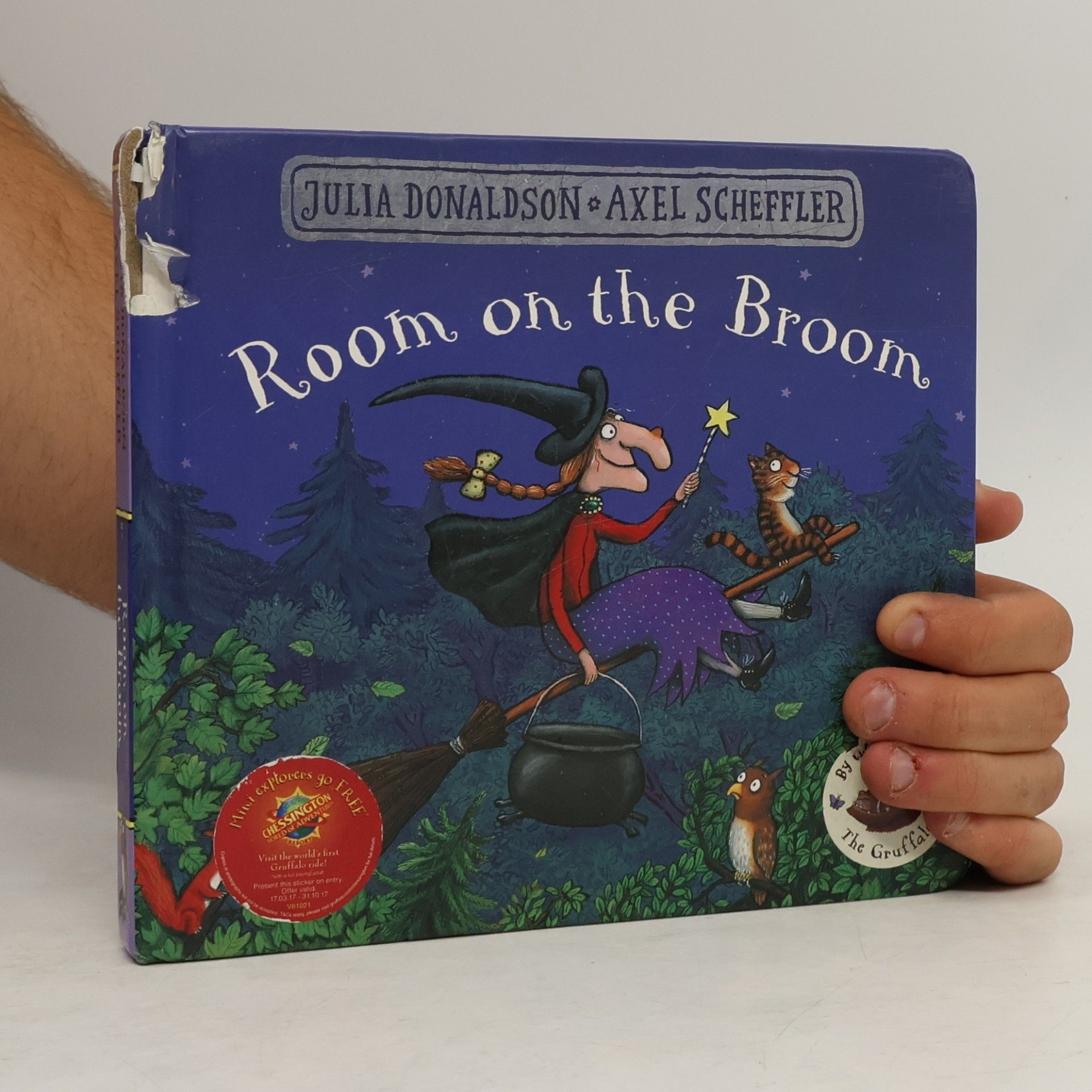 Julia Donaldson Room on the Broom