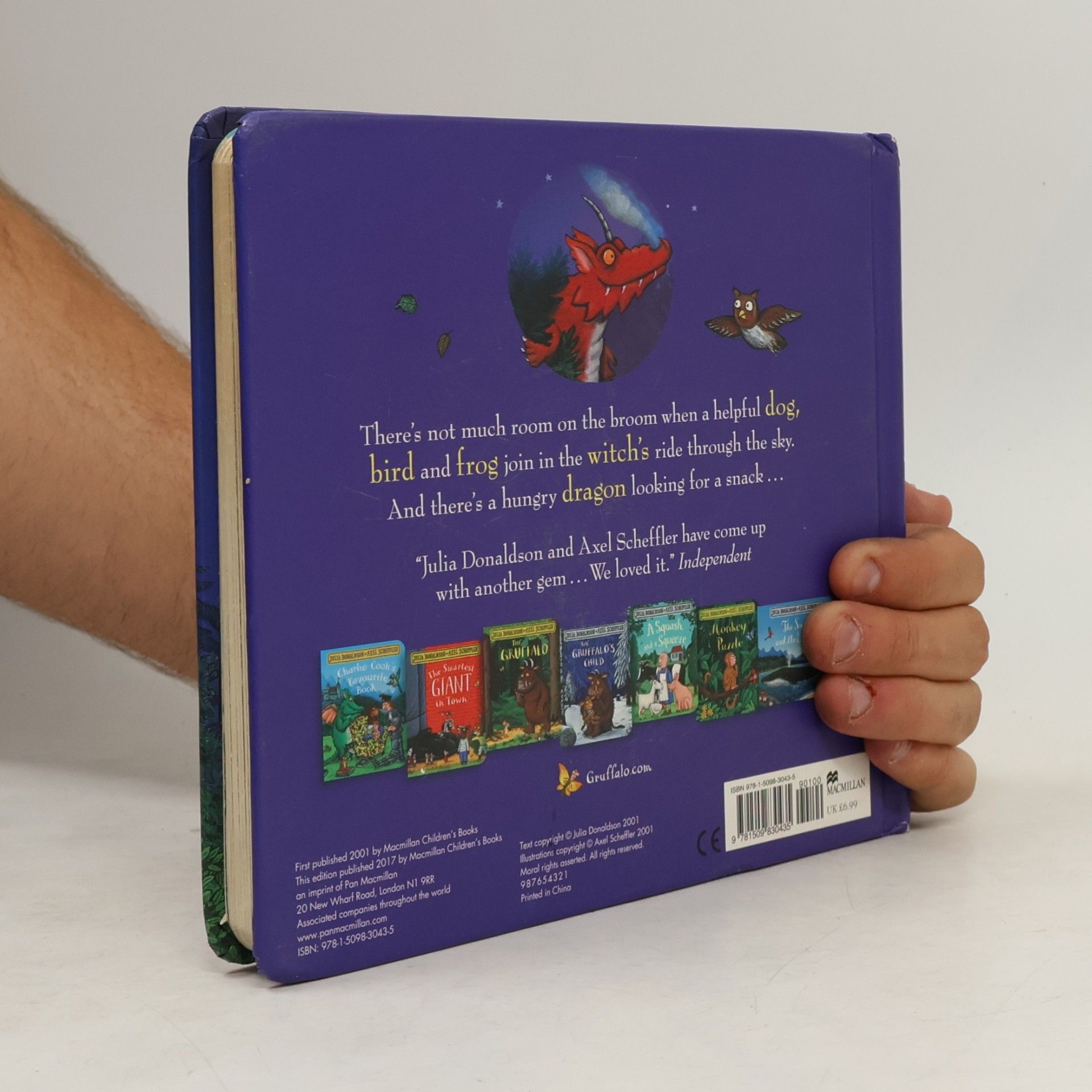 Julia Donaldson Room on the Broom