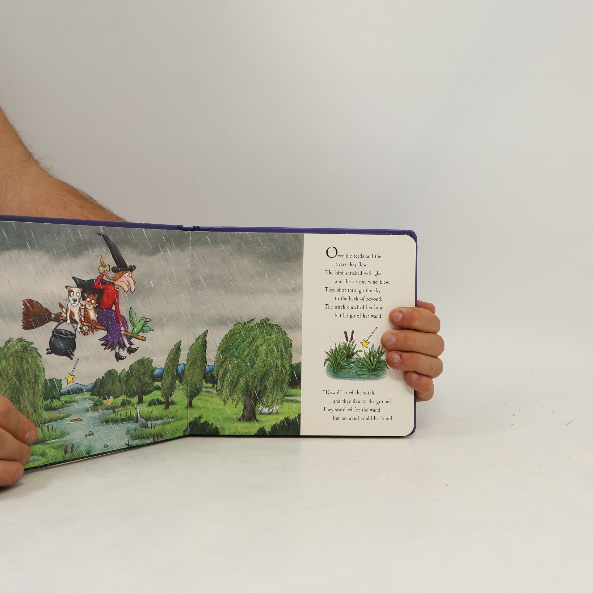 Julia Donaldson Room on the Broom