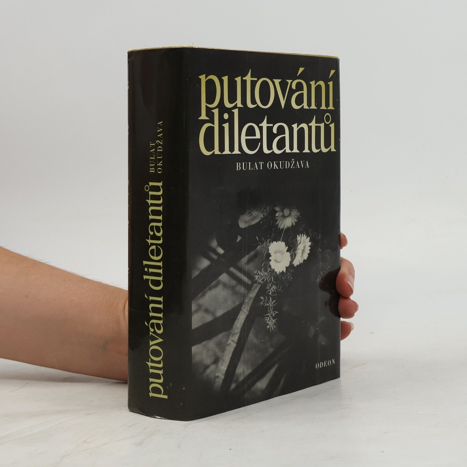 Ludmila Dušková Putování diletantů