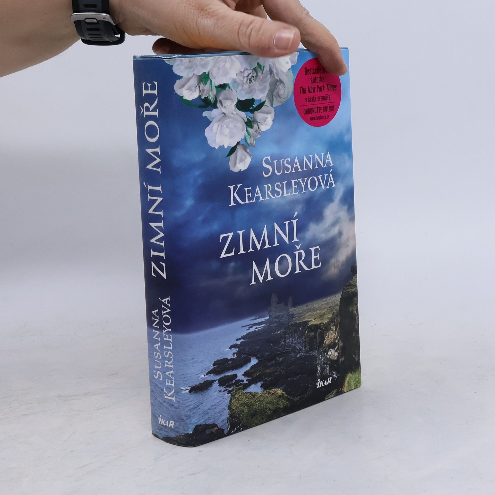 Susanna Kearsley Zimní moře