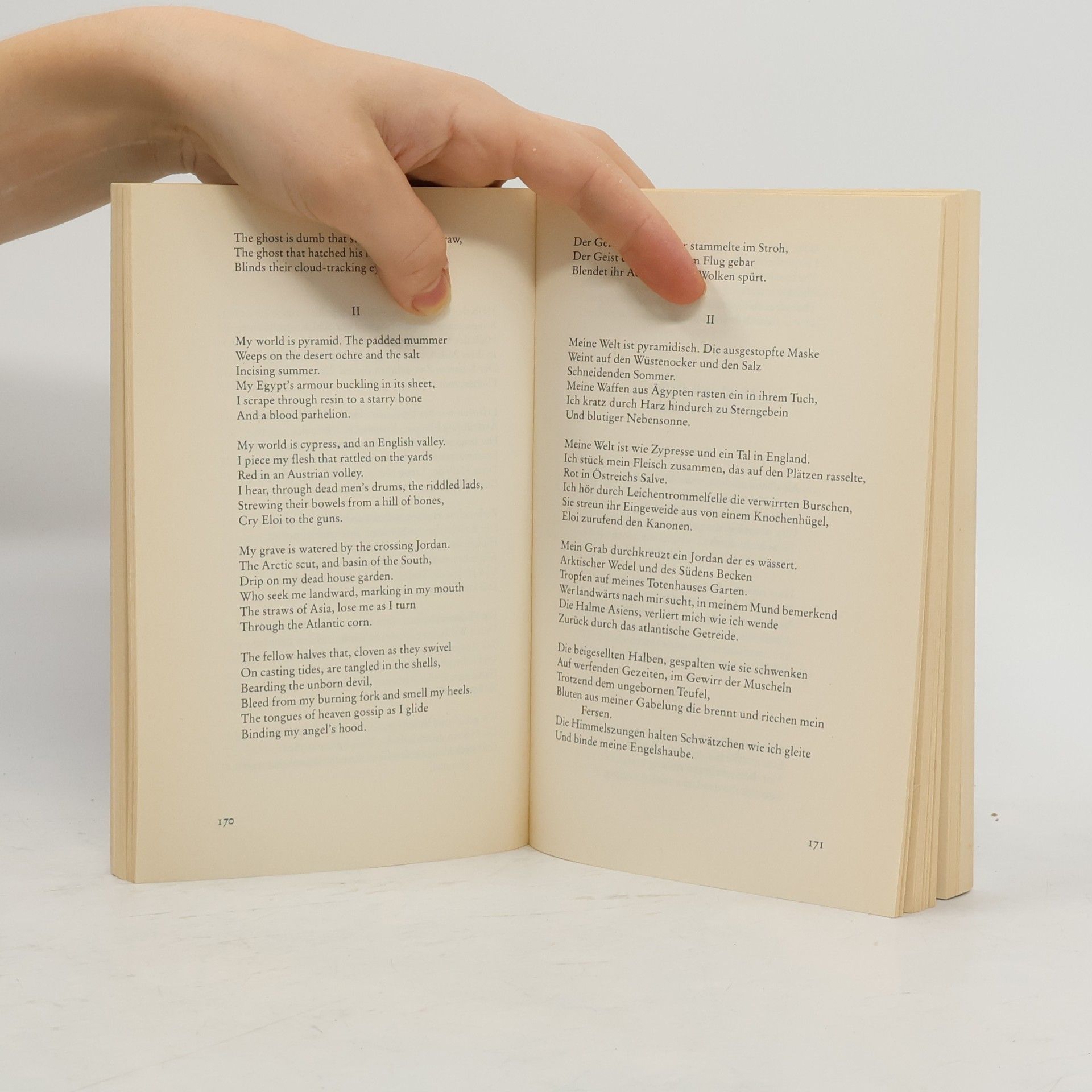 Dylan Thomas Windabgeworfenes Licht. Gedichte. Engl.-Dtsch.