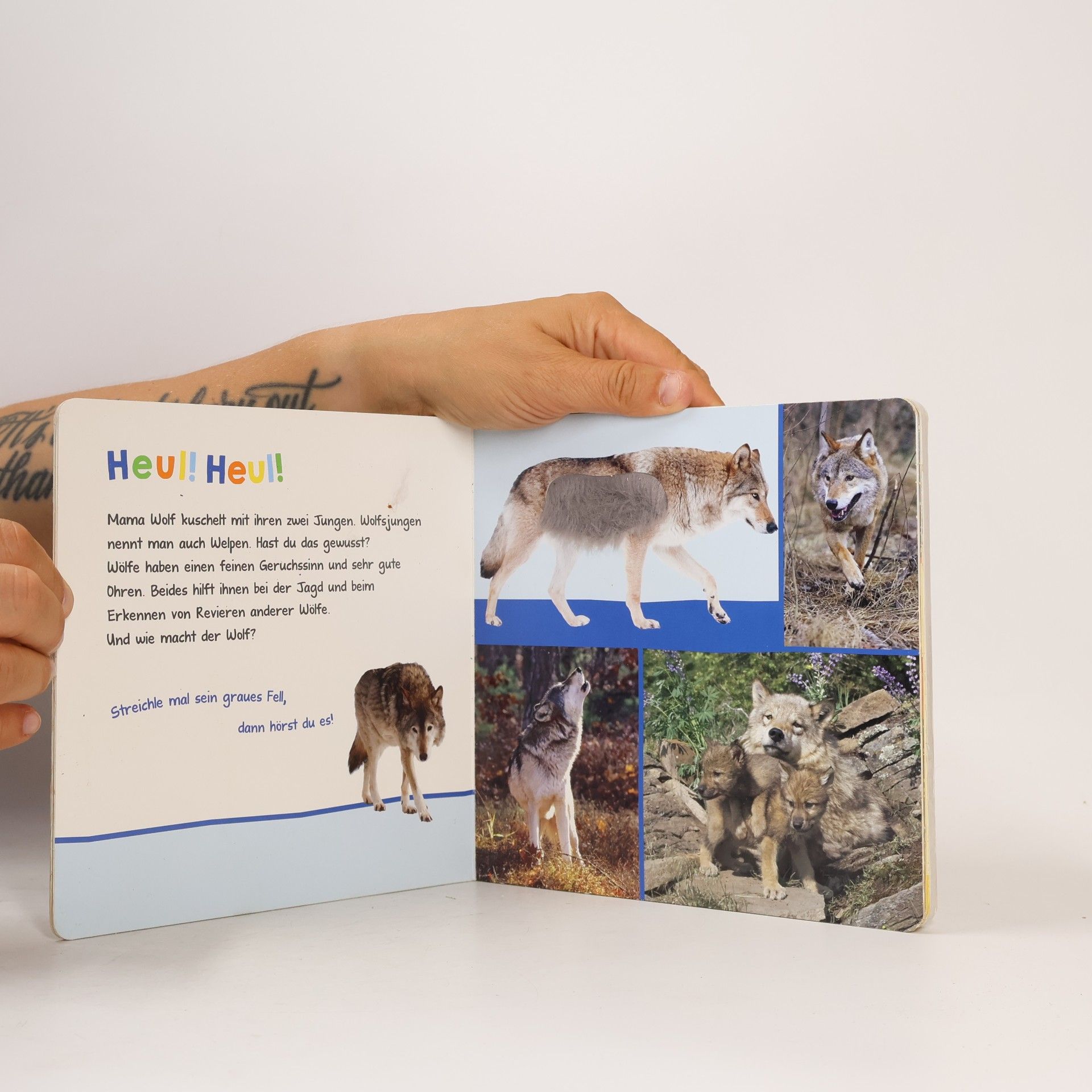 Autorenkollektiv Hör mal rein, wer kann das sein? – Im Wildpark. Streicheln und hören