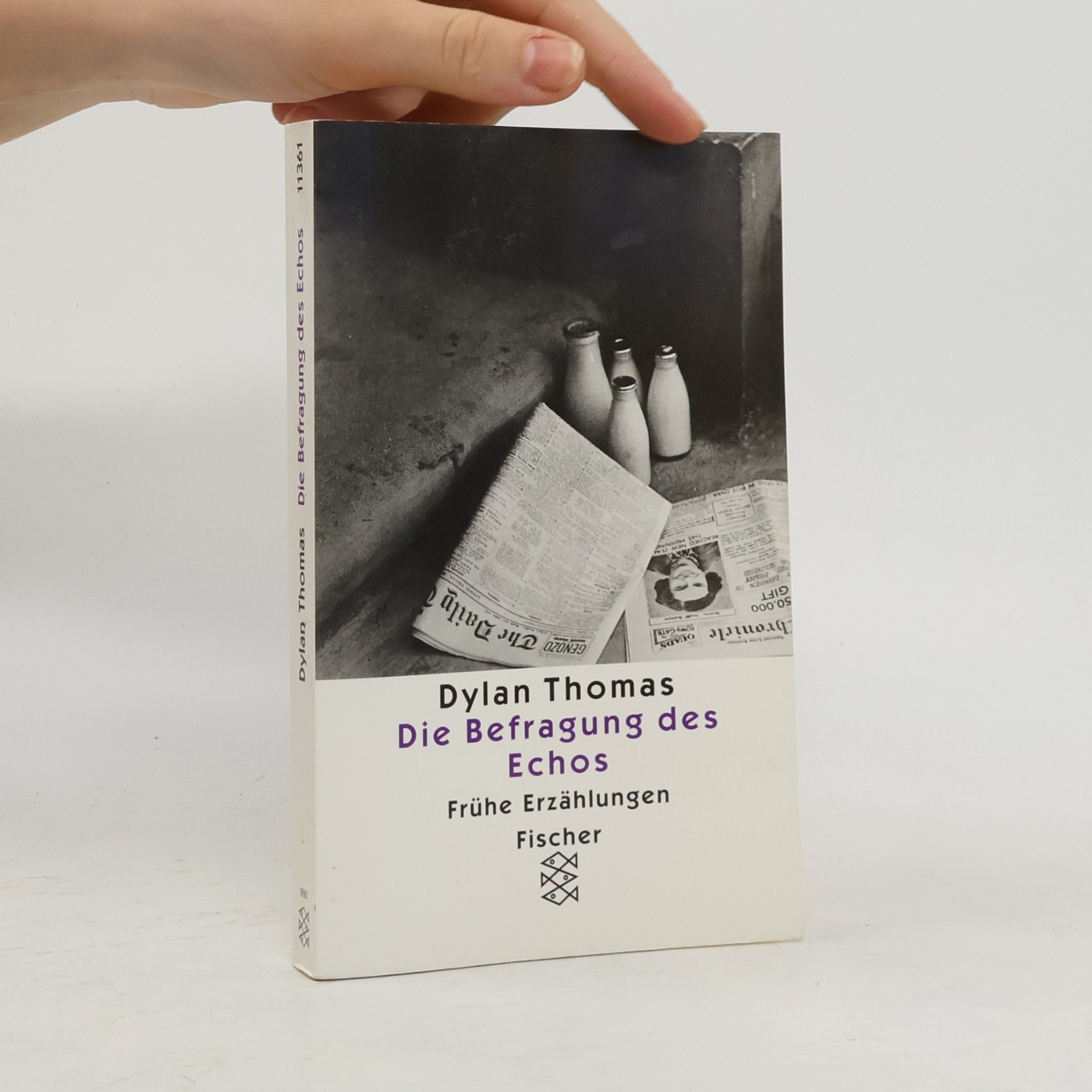 Dylan Thomas Die Befragung des Echos