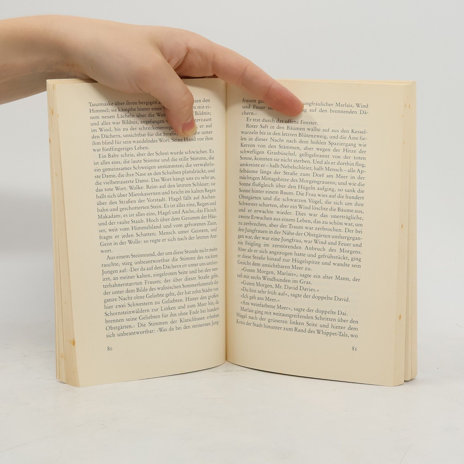 Dylan Thomas Die Befragung des Echos