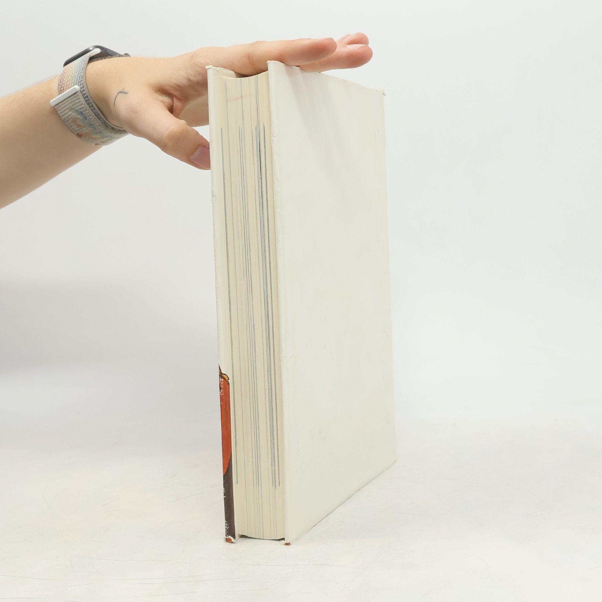 Claudia Persson Das grosse Buch der Pferde und Ponys