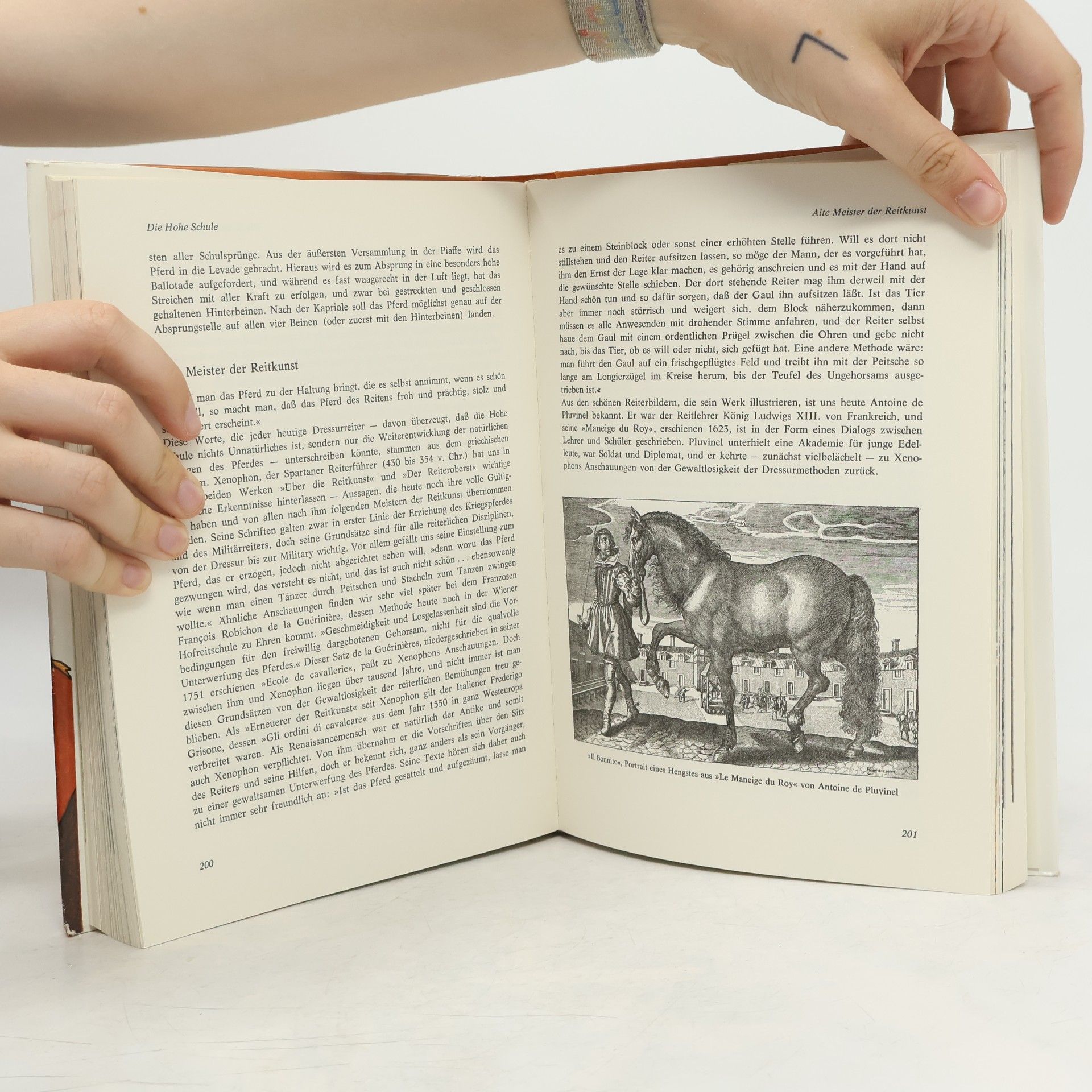 Claudia Persson Das grosse Buch der Pferde und Ponys