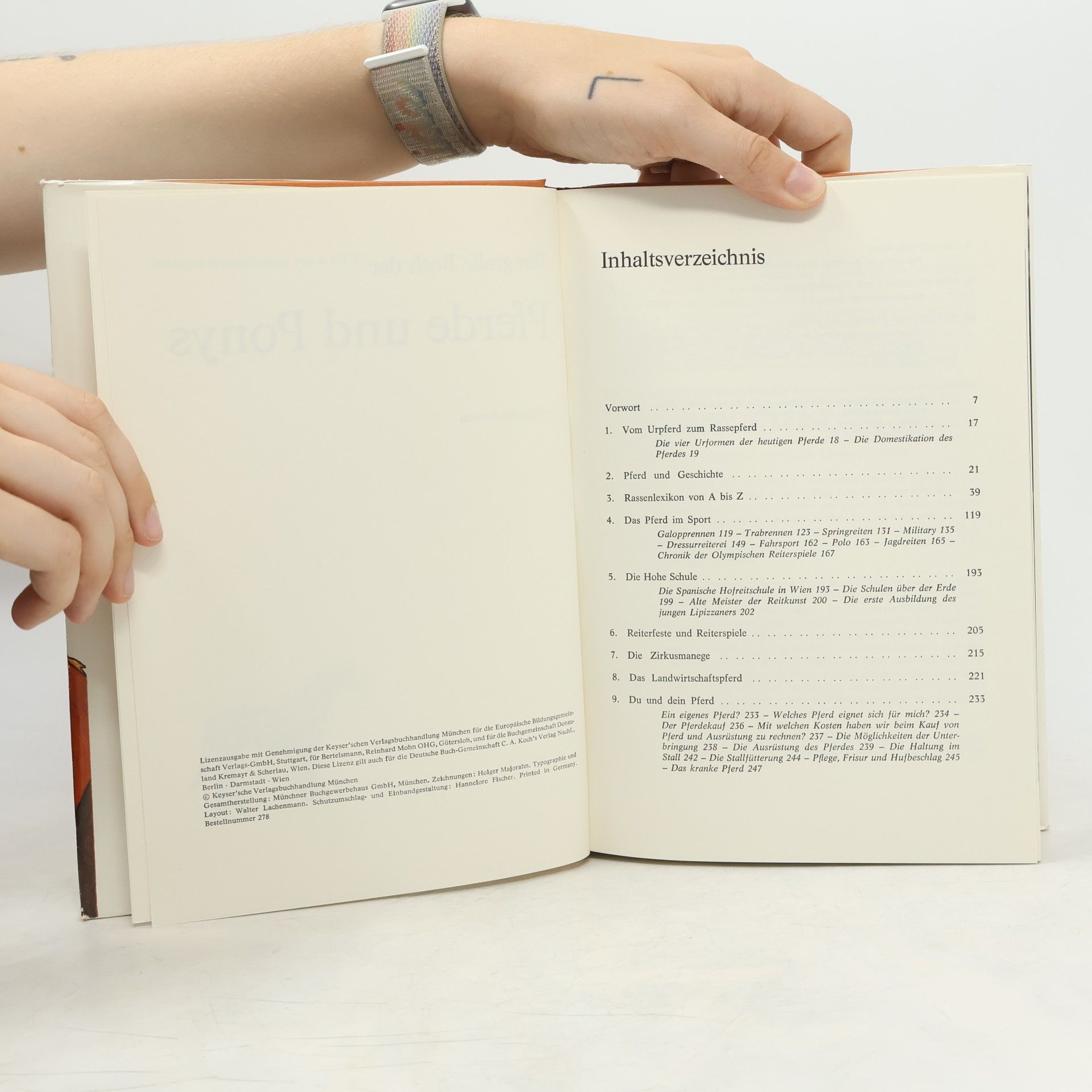 Claudia Persson Das grosse Buch der Pferde und Ponys