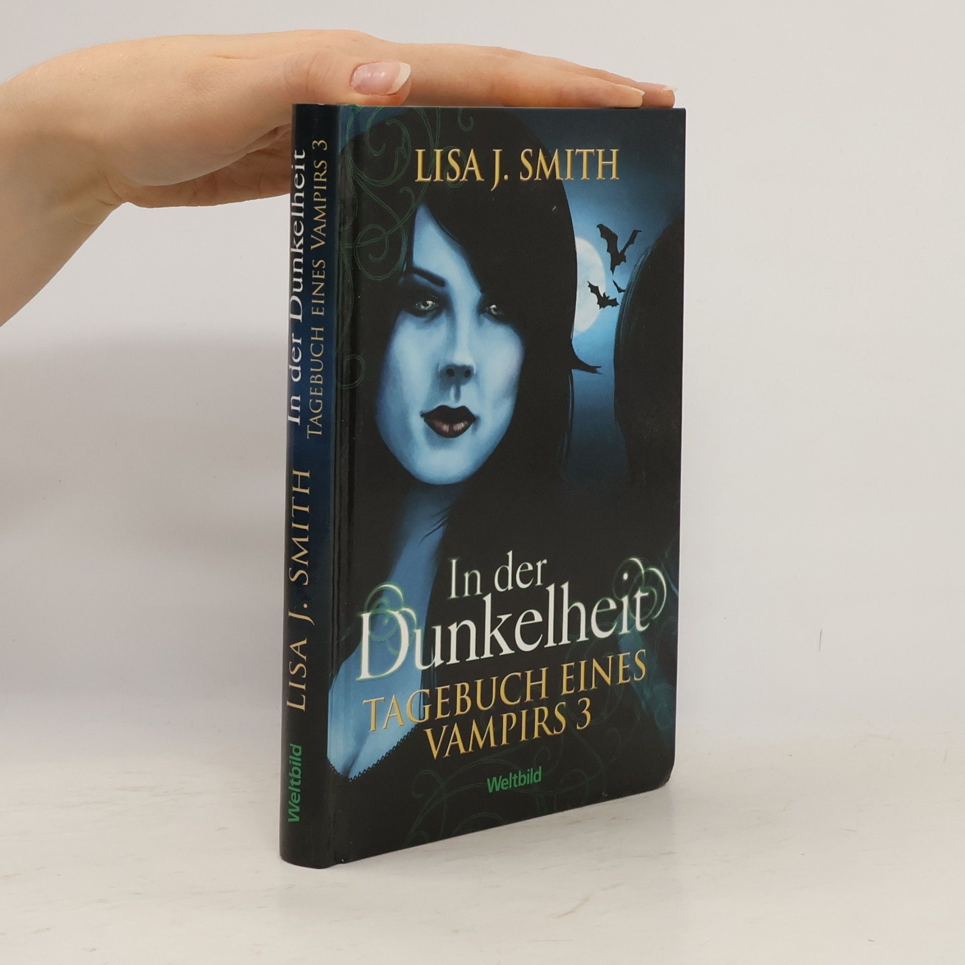 L. J. Smithová  In der Dunkelheit