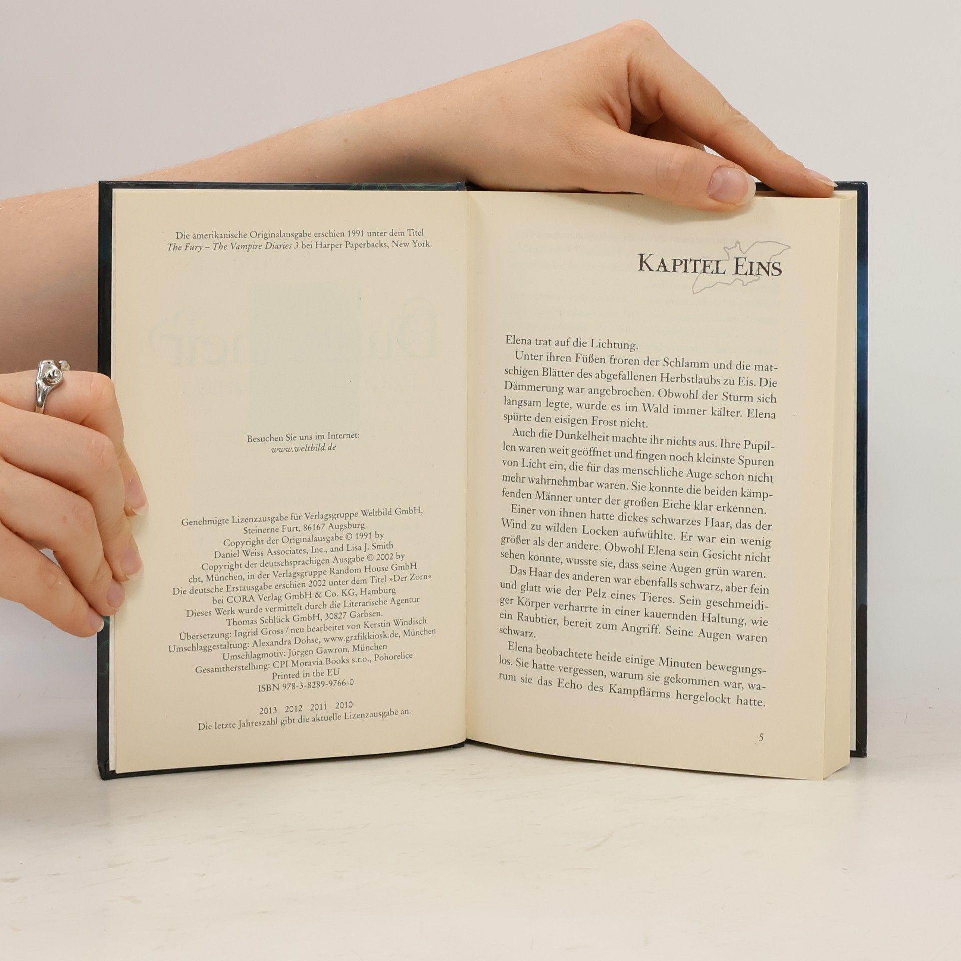L. J. Smithová  In der Dunkelheit