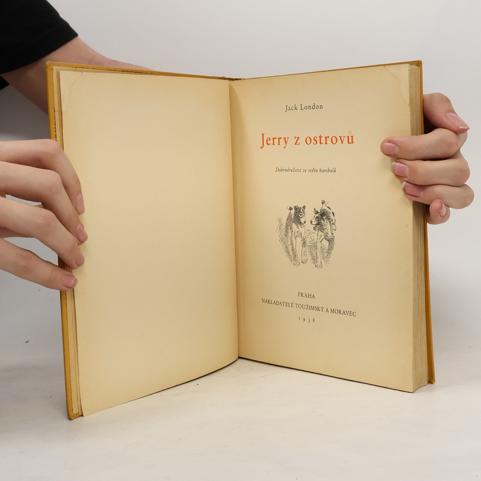 Jack London Jerry z ostrovů : dobrodružství ze světa kanibalů
