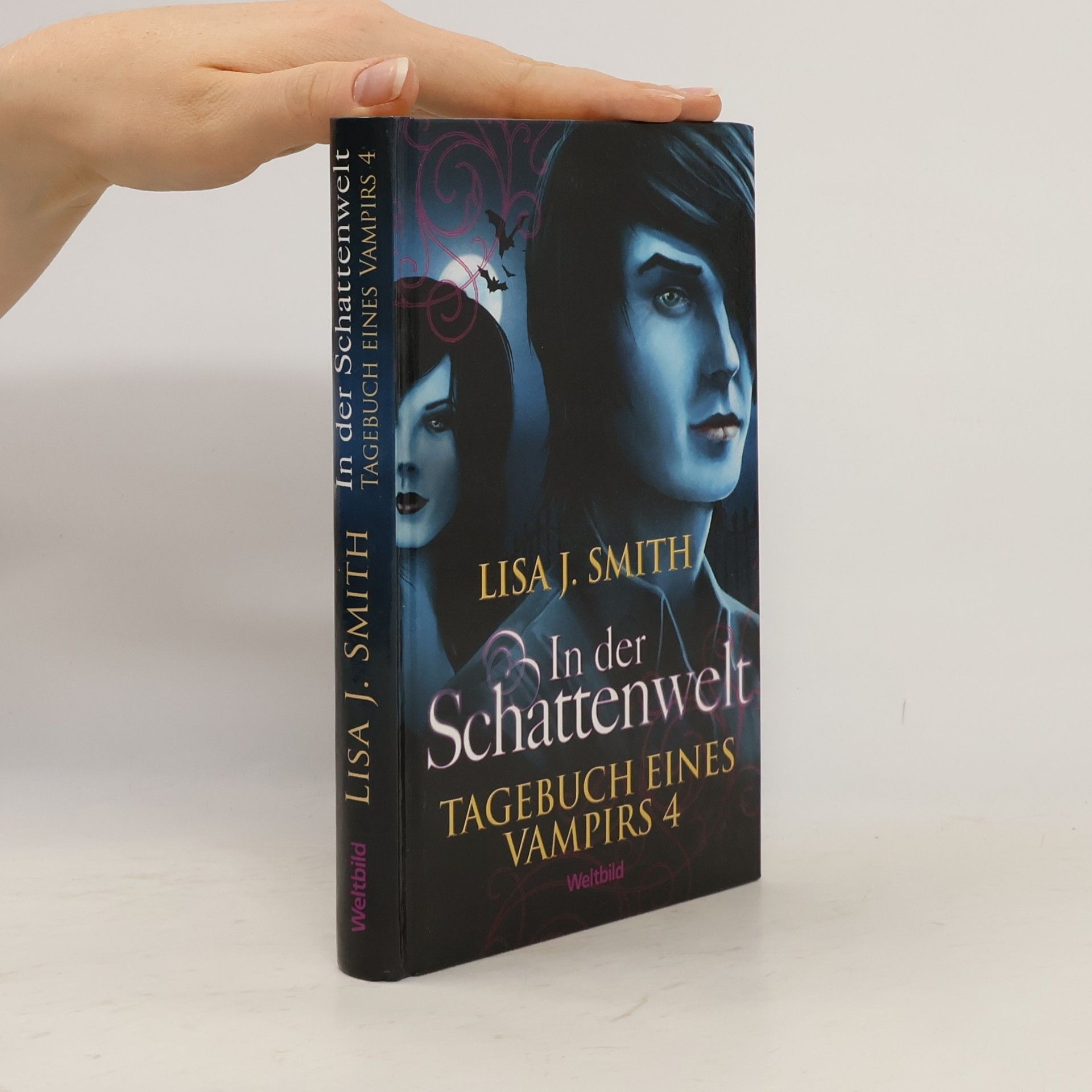 L. J. Smithová  Tagebuch eines Vampirs 4. In der Schattenwelt