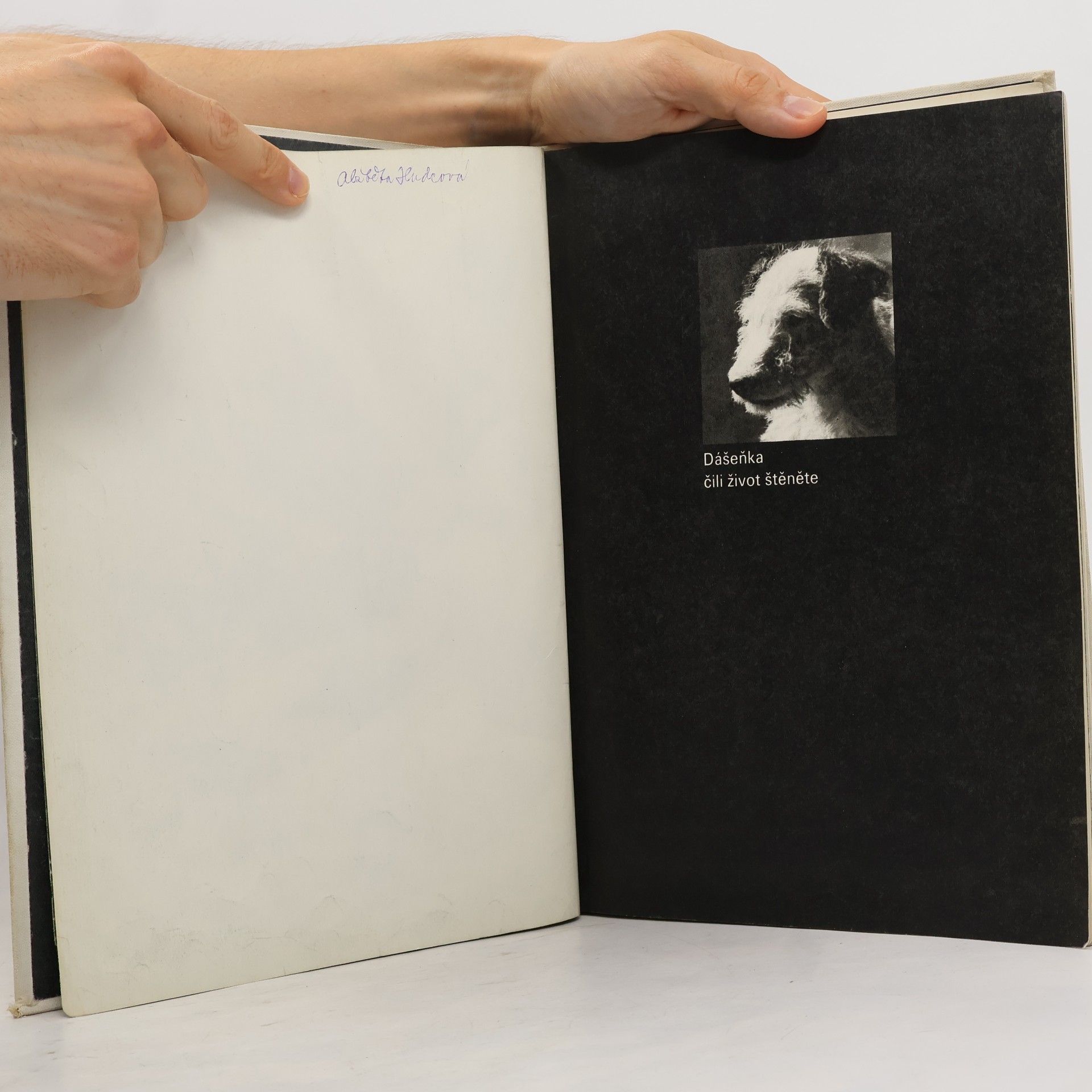 Karel Čapek Dášeňka čili život štěněte