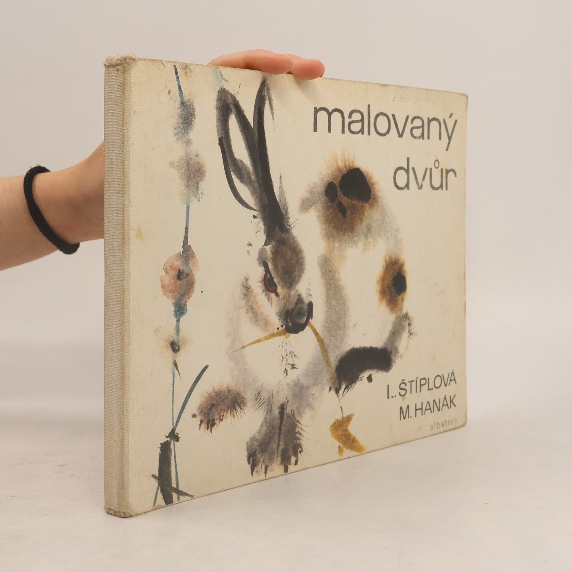 Ljuba Štíplová Malovaný dvůr