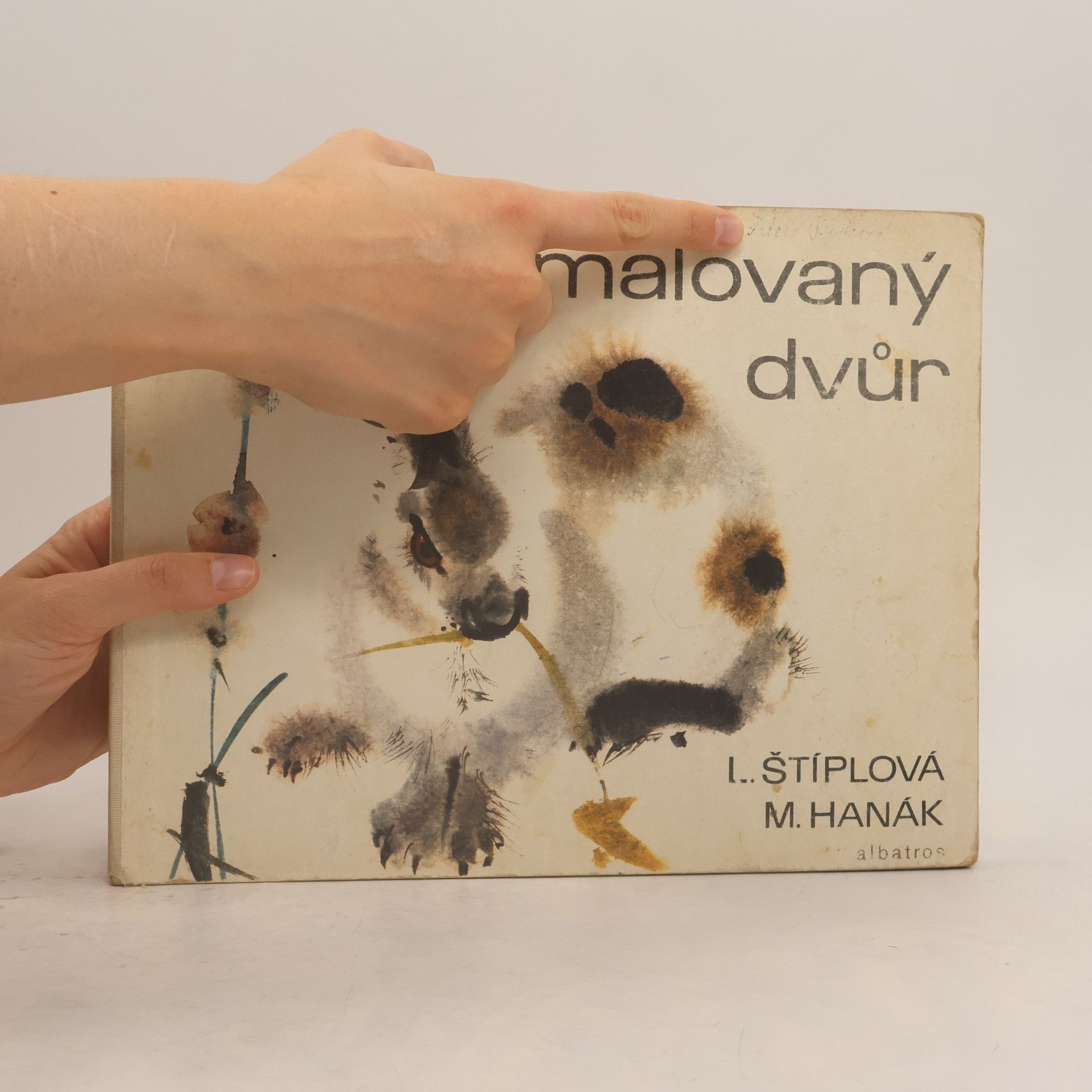 Ljuba Štíplová Malovaný dvůr
