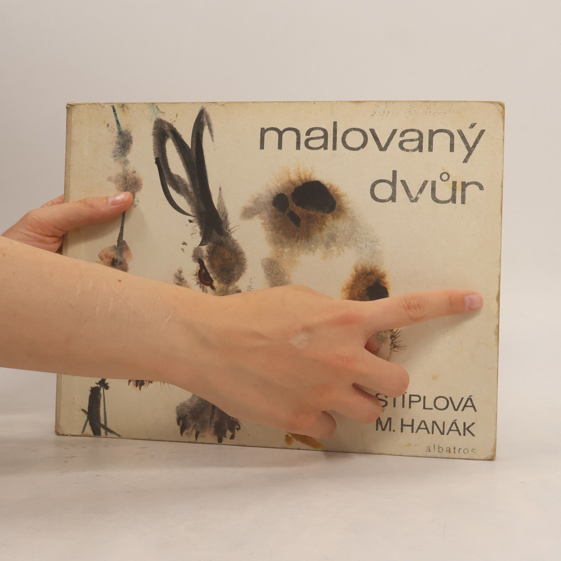 Ljuba Štíplová Malovaný dvůr