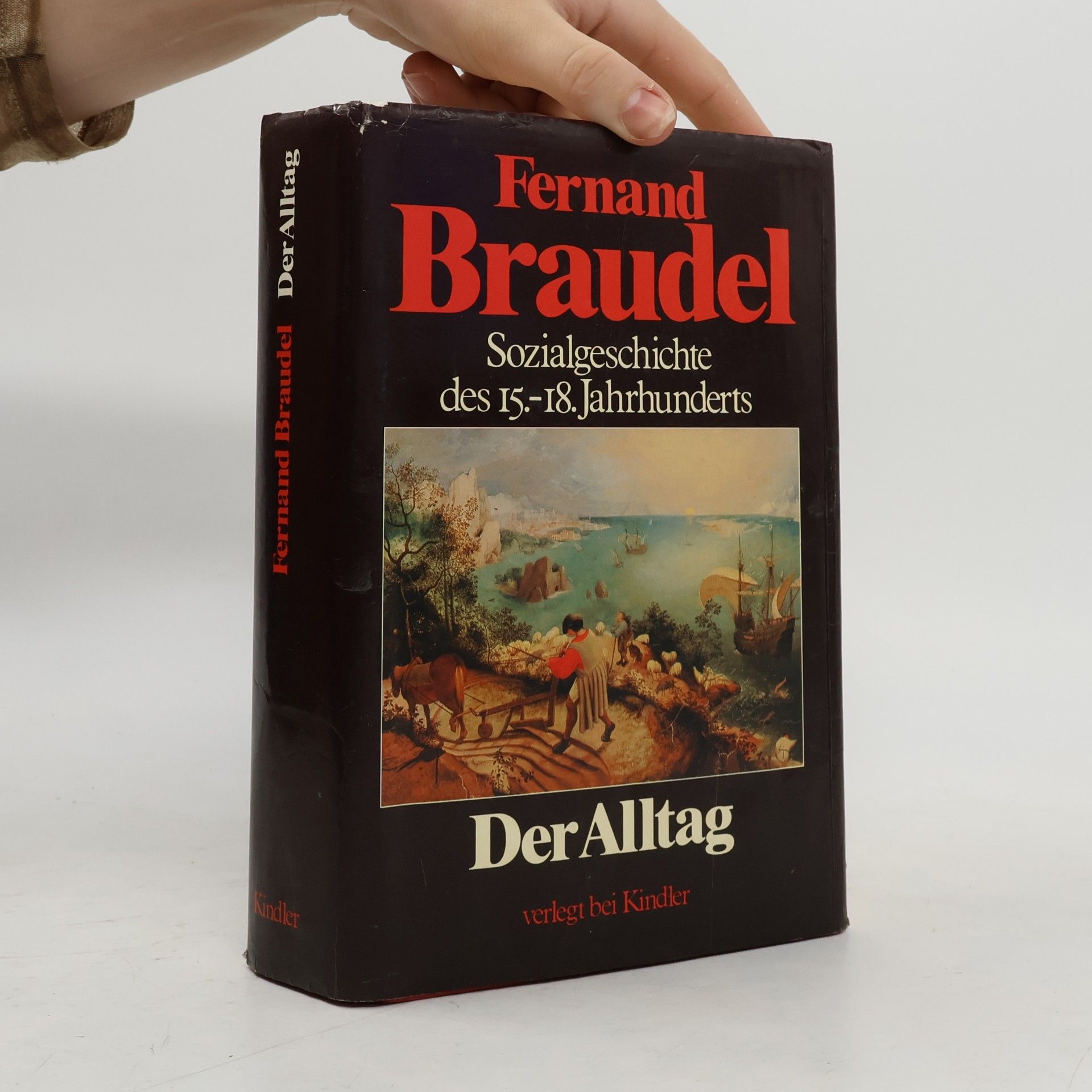 Fernard Braudel Sozialgeschichte des 15.-18. Jahrhunderts: Der Alltag
