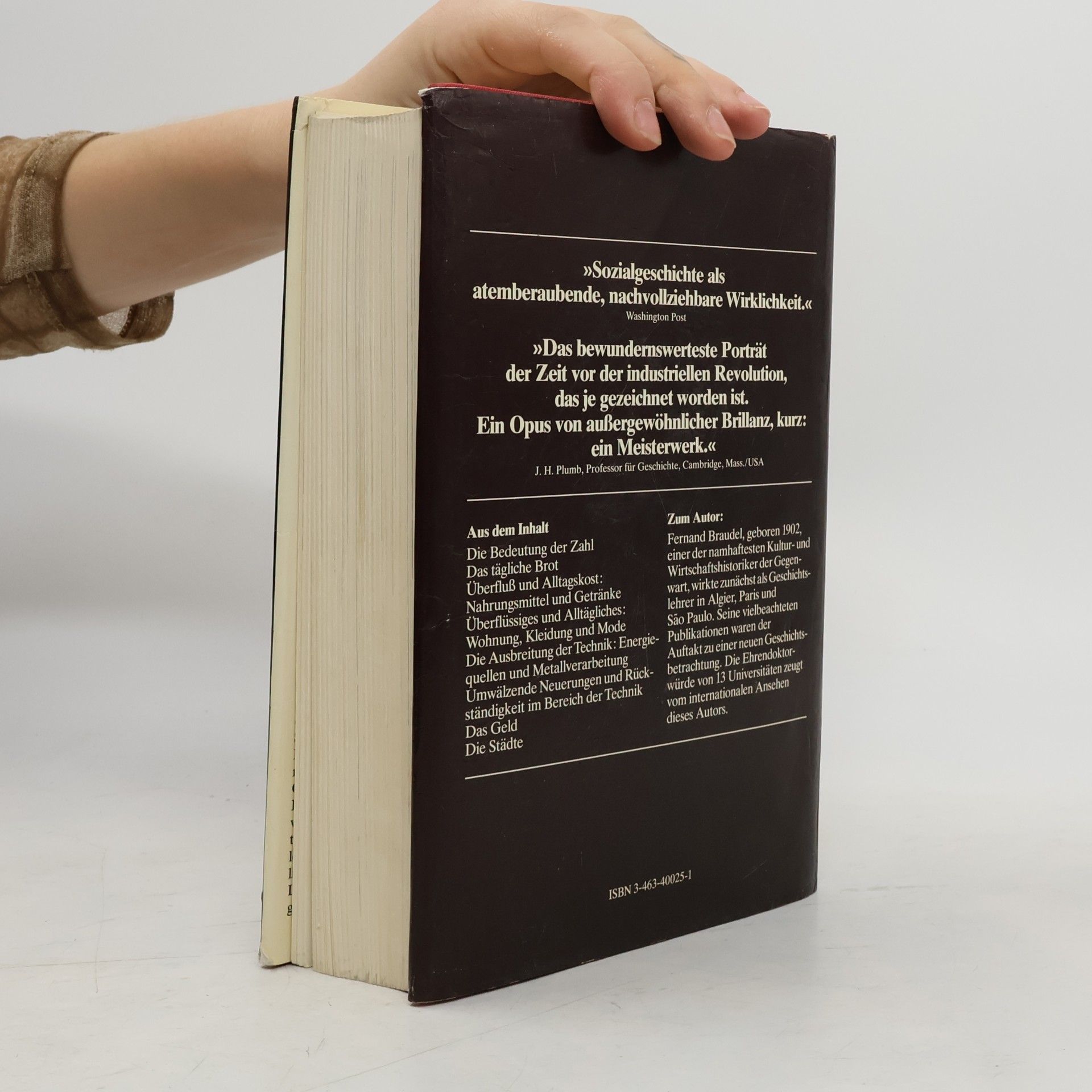 Fernard Braudel Sozialgeschichte des 15.-18. Jahrhunderts: Der Alltag