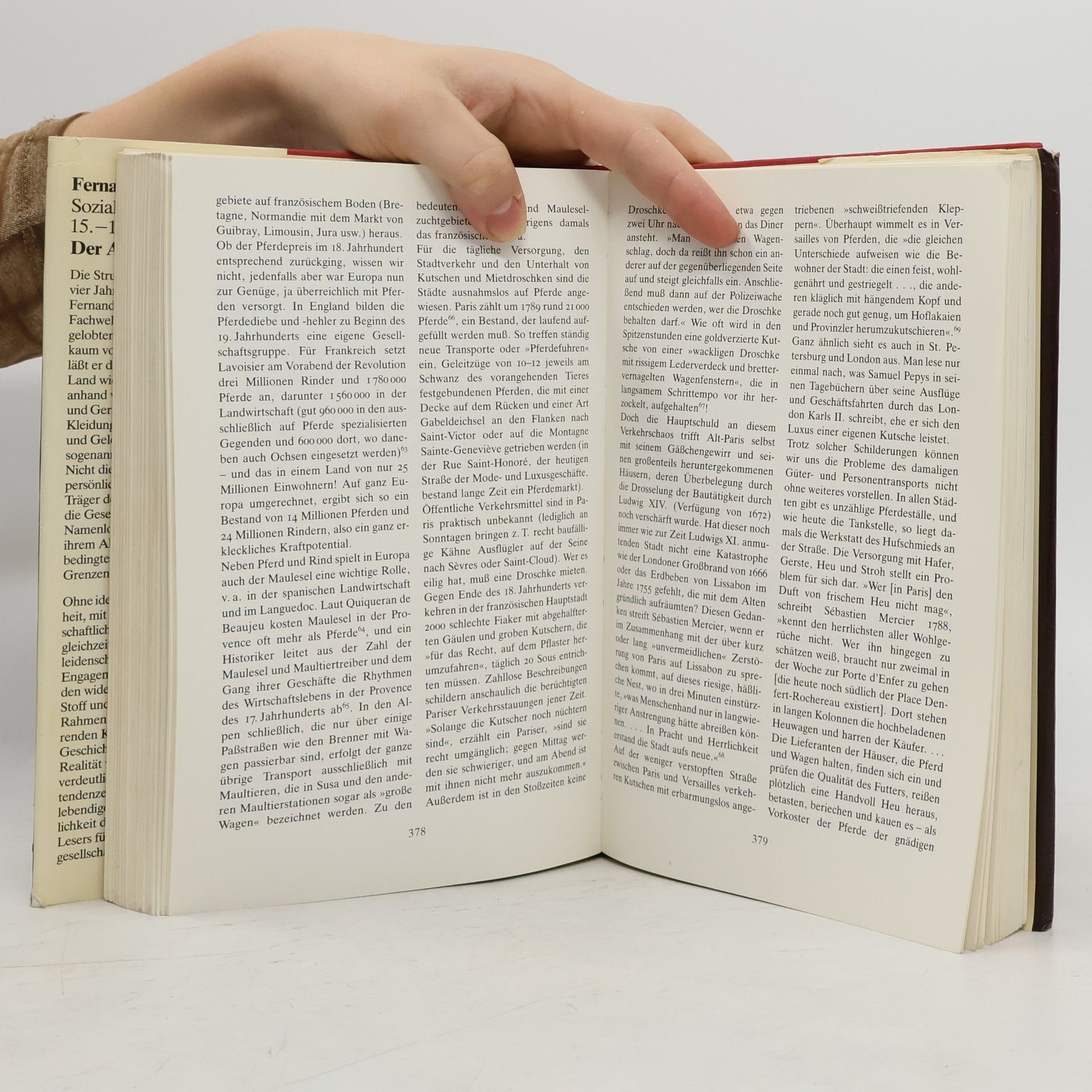 Fernard Braudel Sozialgeschichte des 15.-18. Jahrhunderts: Der Alltag