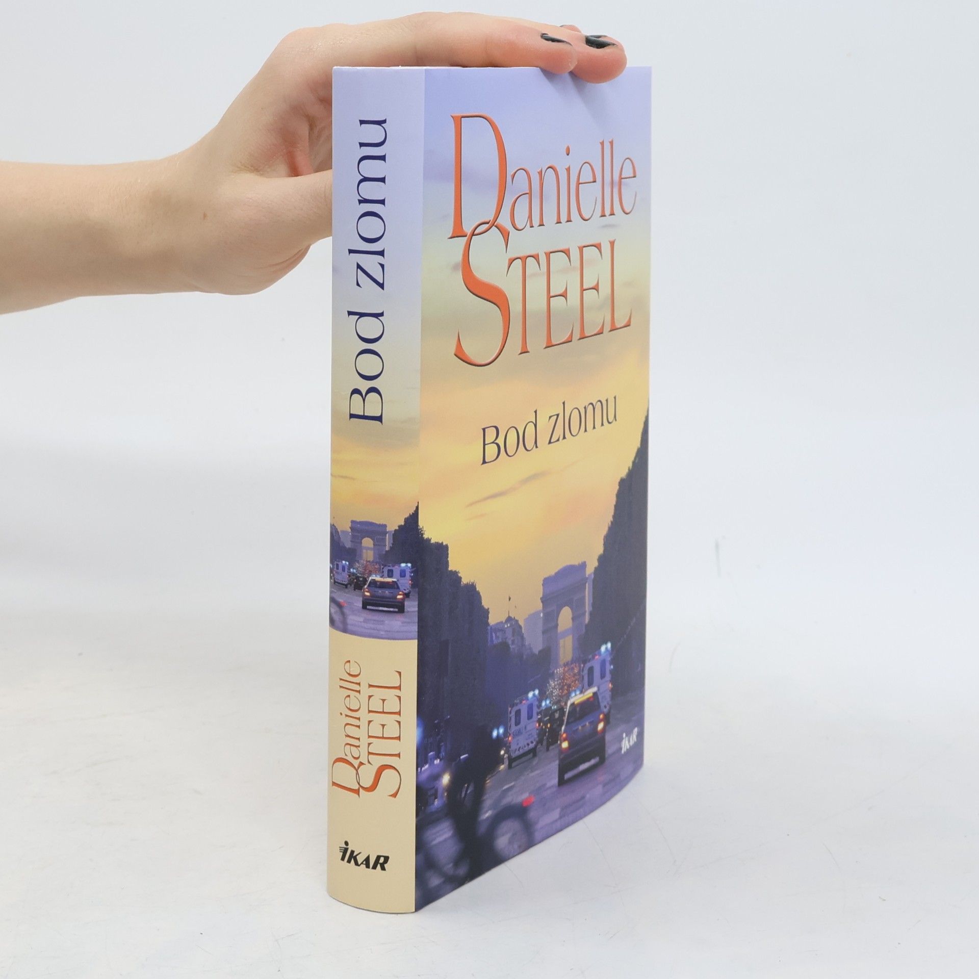 Danielle Steel Bod zlomu