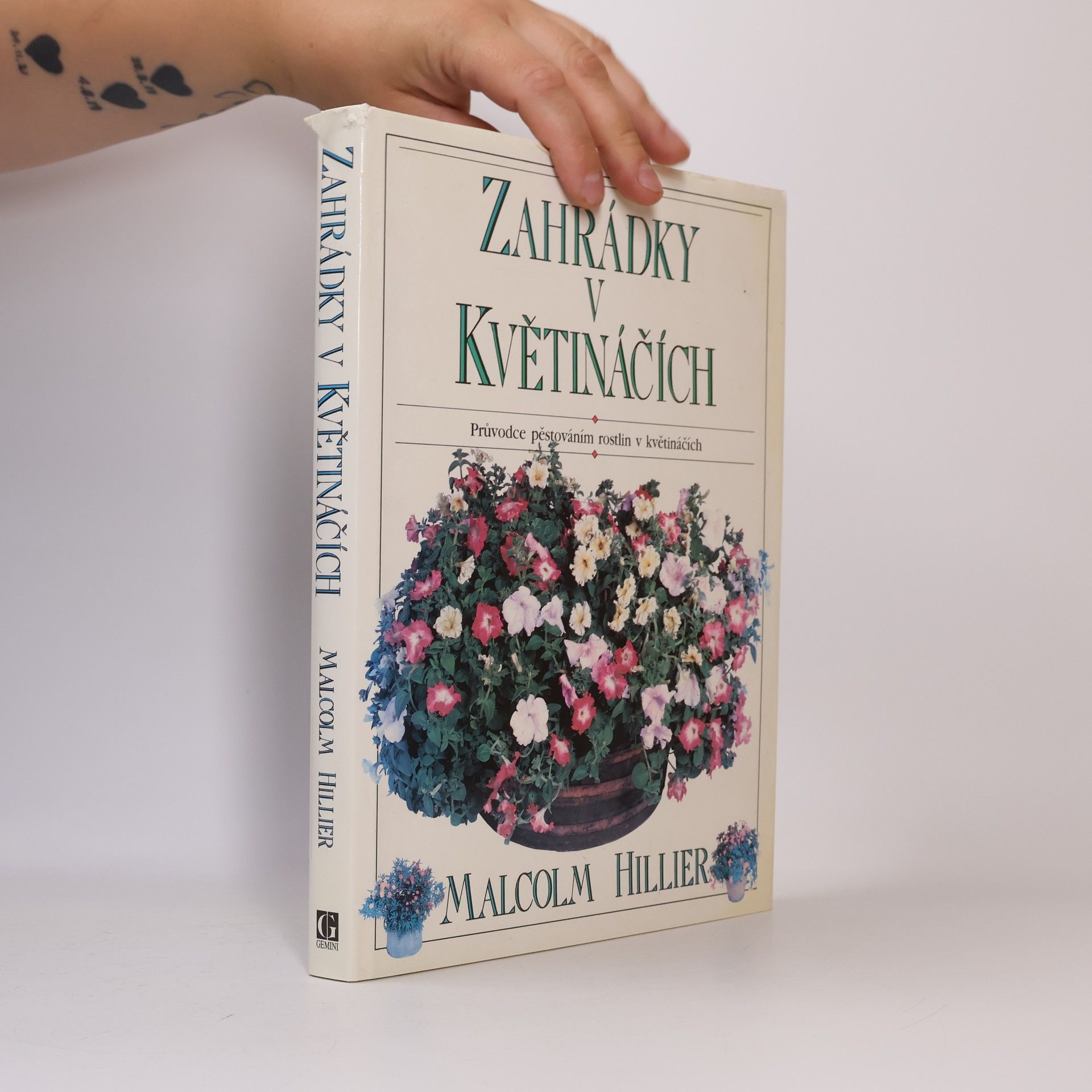Matthew Ward Zahrádky v květináčích