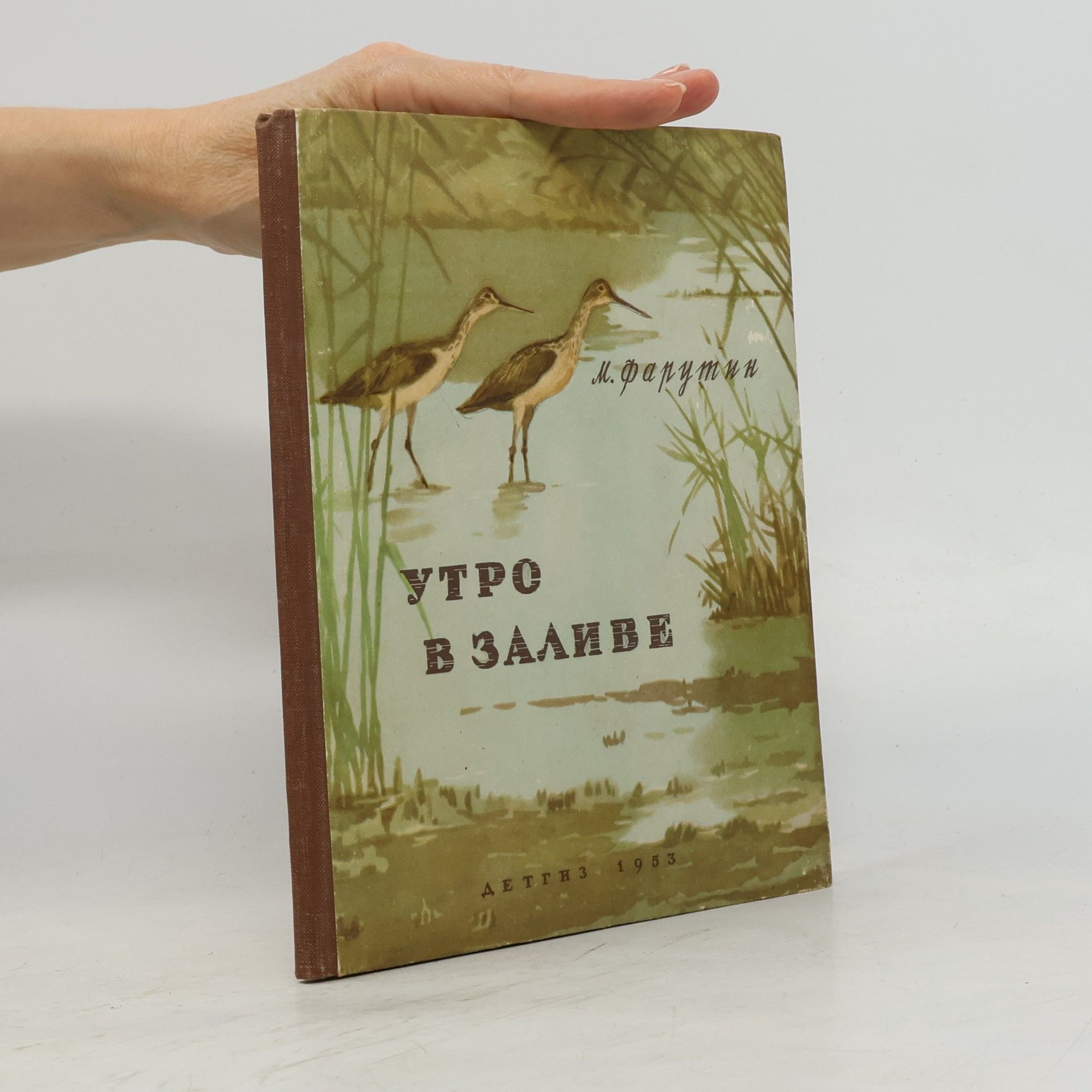 Kolektív autorov Утро в заливе