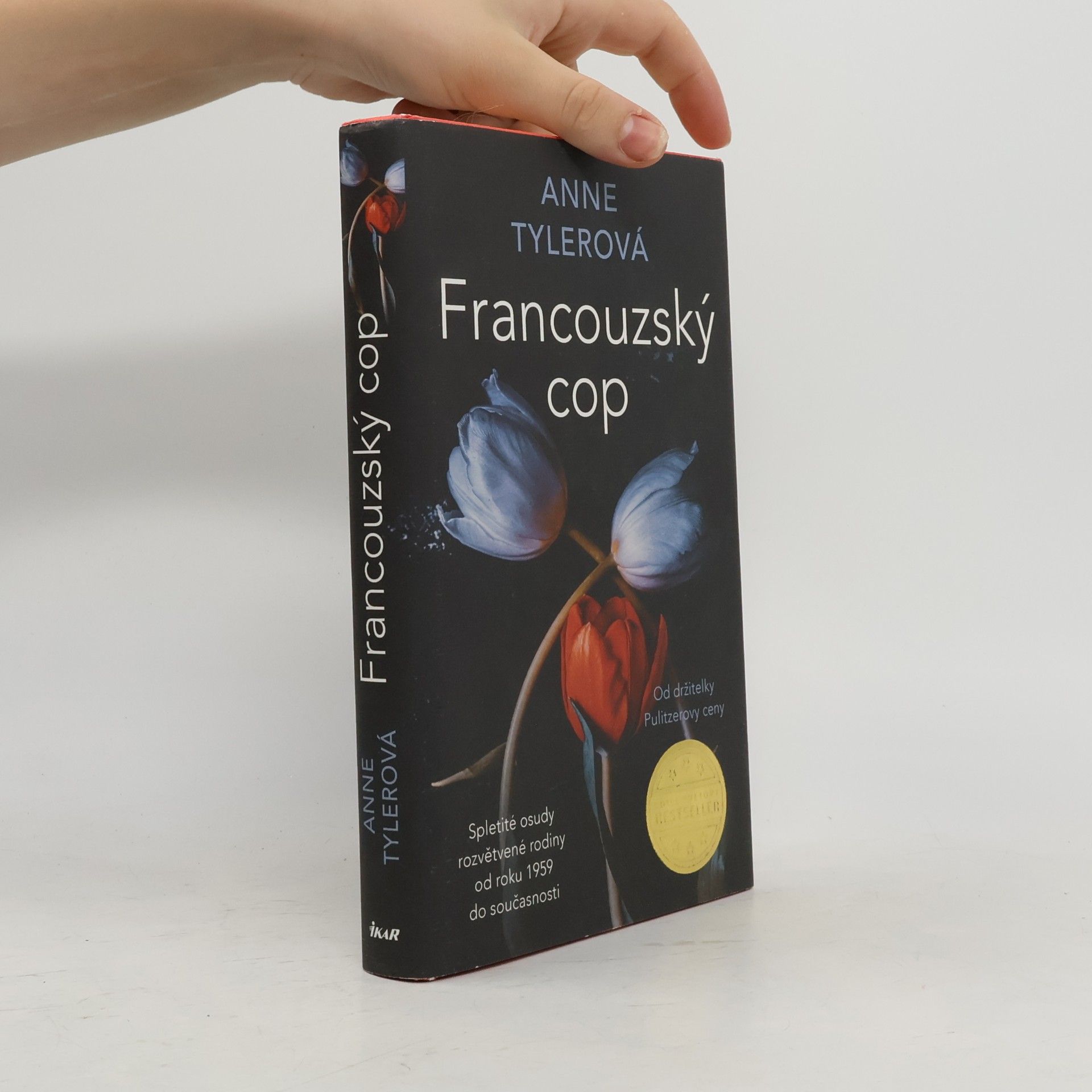 Anne Tyler Francouzský cop