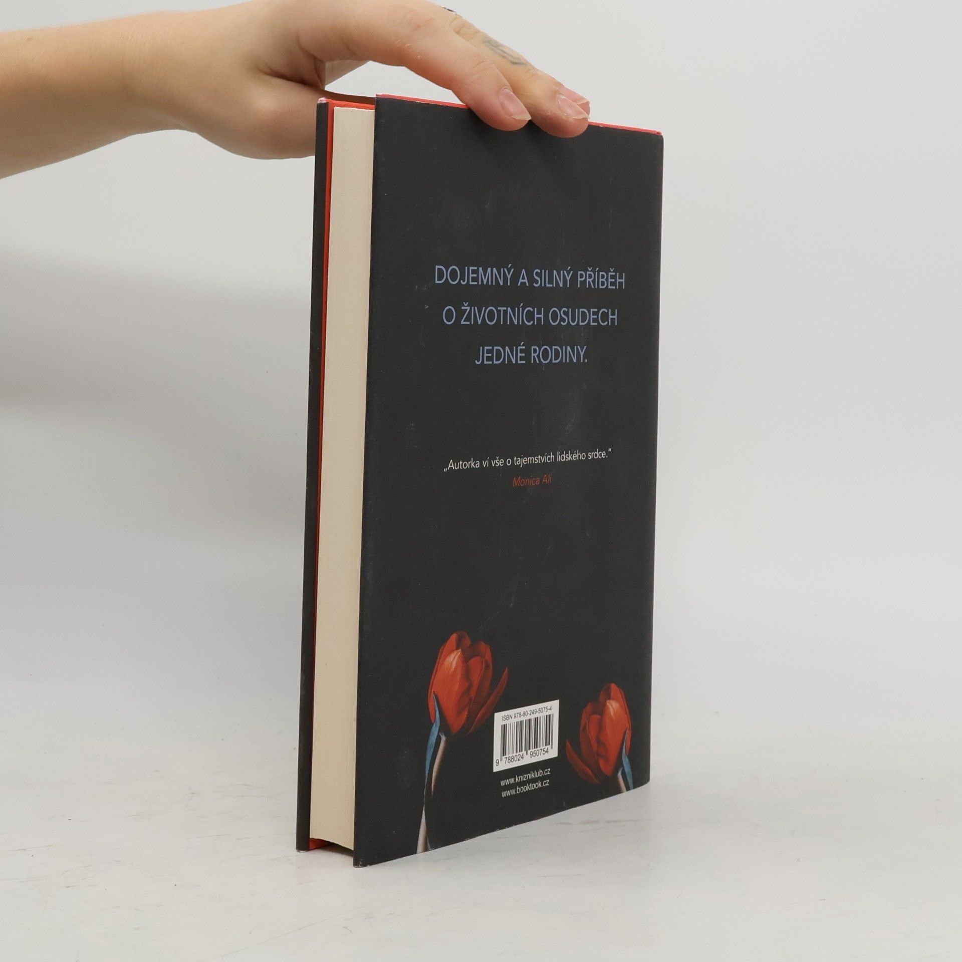 Anne Tyler Francouzský cop