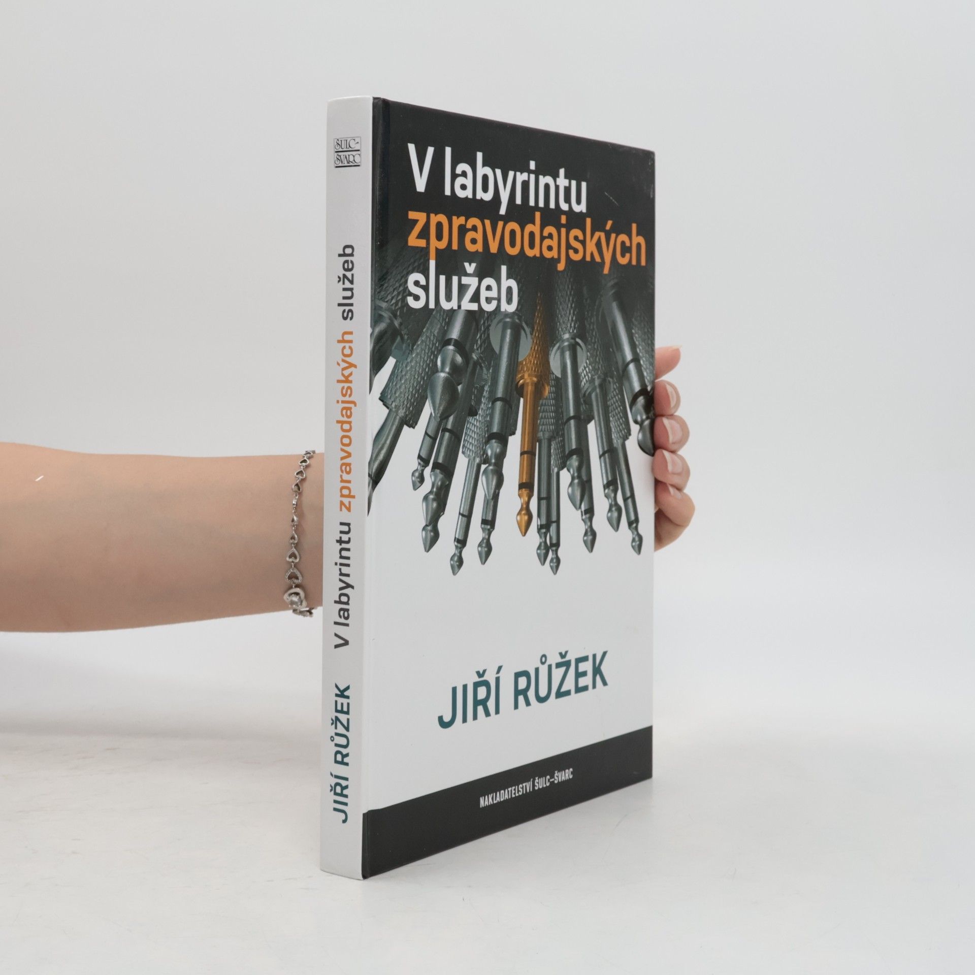 V labyrintu zpravodajských služeb