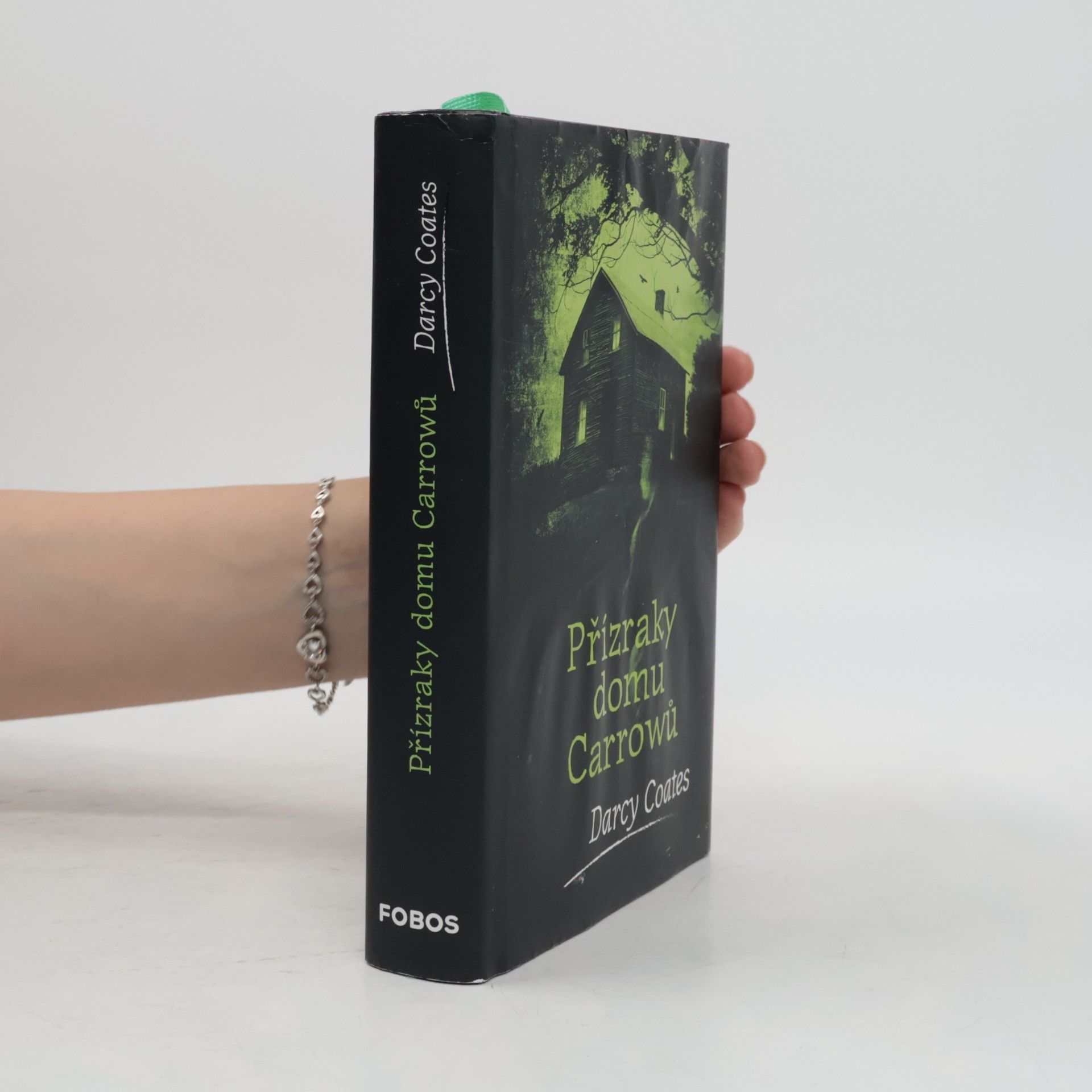 Darcy Coates Přízraky domu Carrowů