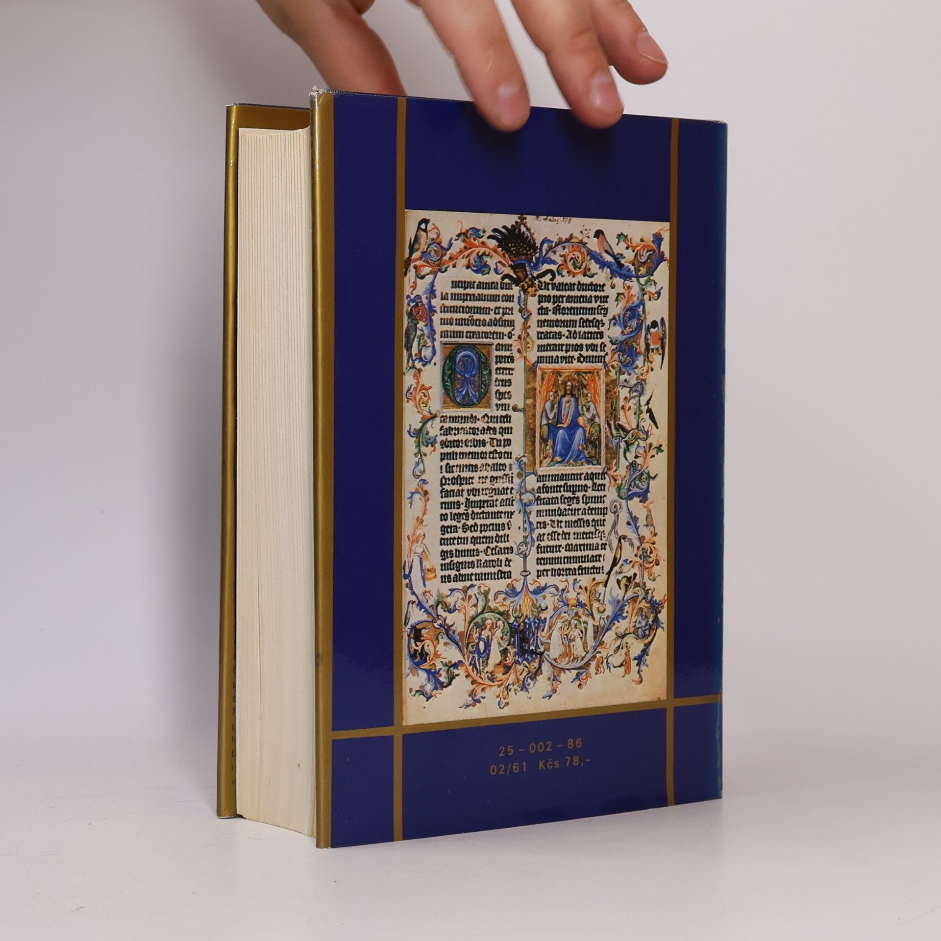 Jiří Spěváček Václav IV. 1361-1419