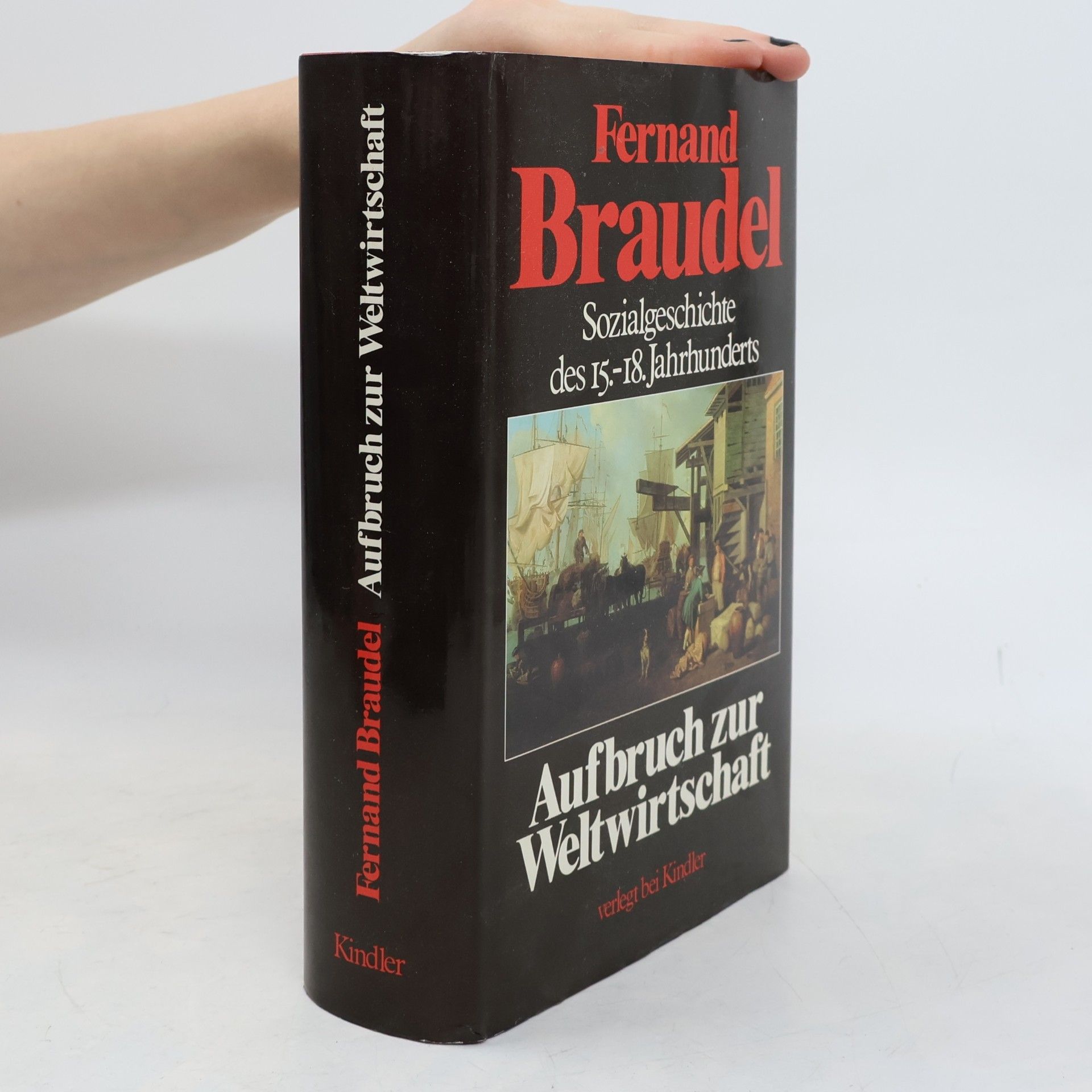 Fernard Braudel Sozialgeschichte des 15.-18. Jahrhunderts: Aufbruch zur Weltwirstchaft