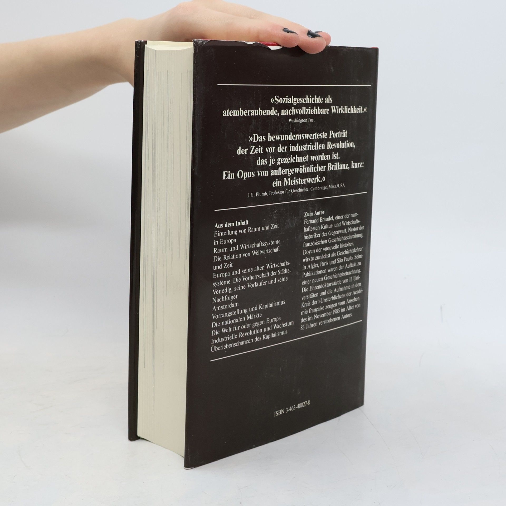 Fernard Braudel Sozialgeschichte des 15.-18. Jahrhunderts: Aufbruch zur Weltwirstchaft