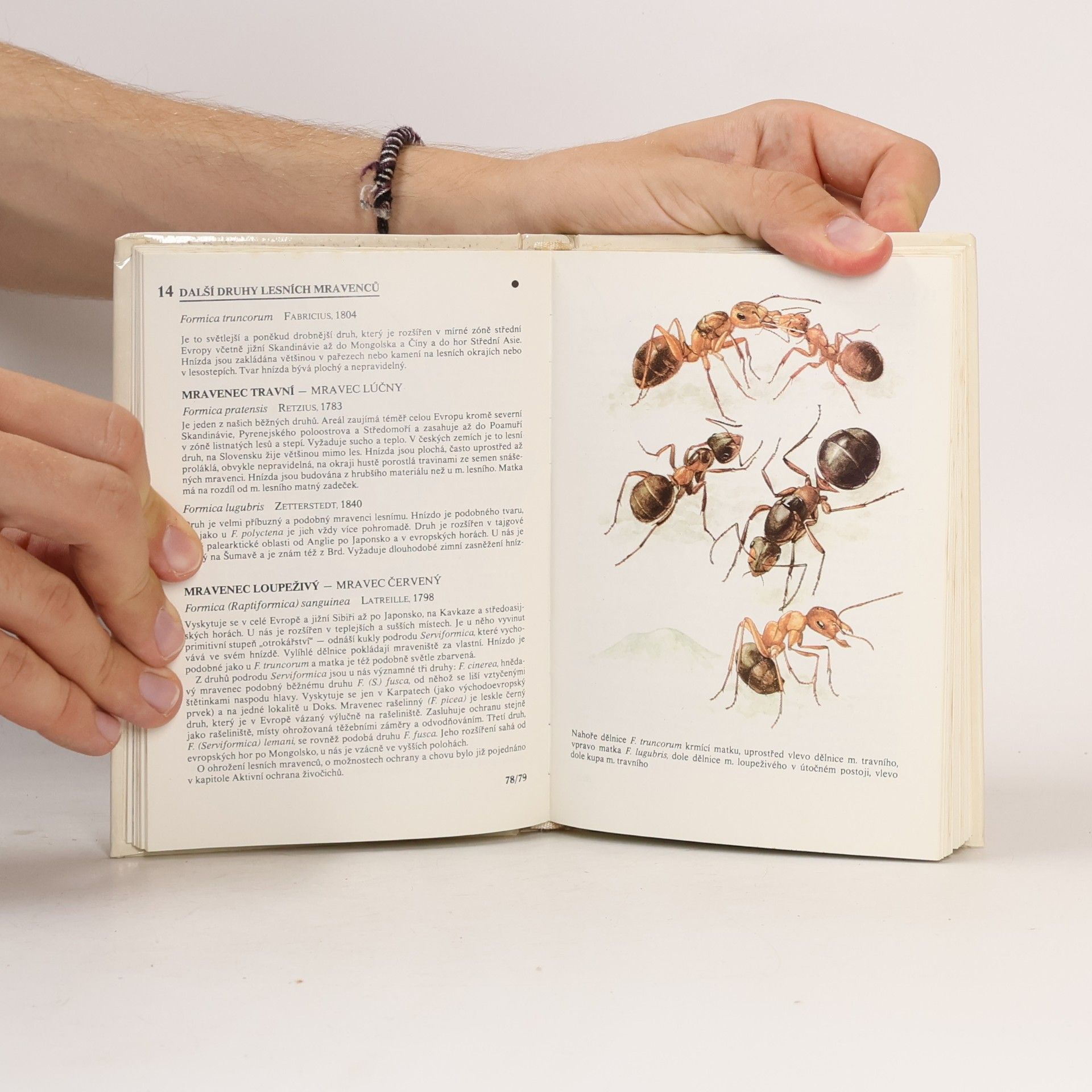 Autorenkollektiv Kapesní atlas chráněných a ohrožených živočichů 1