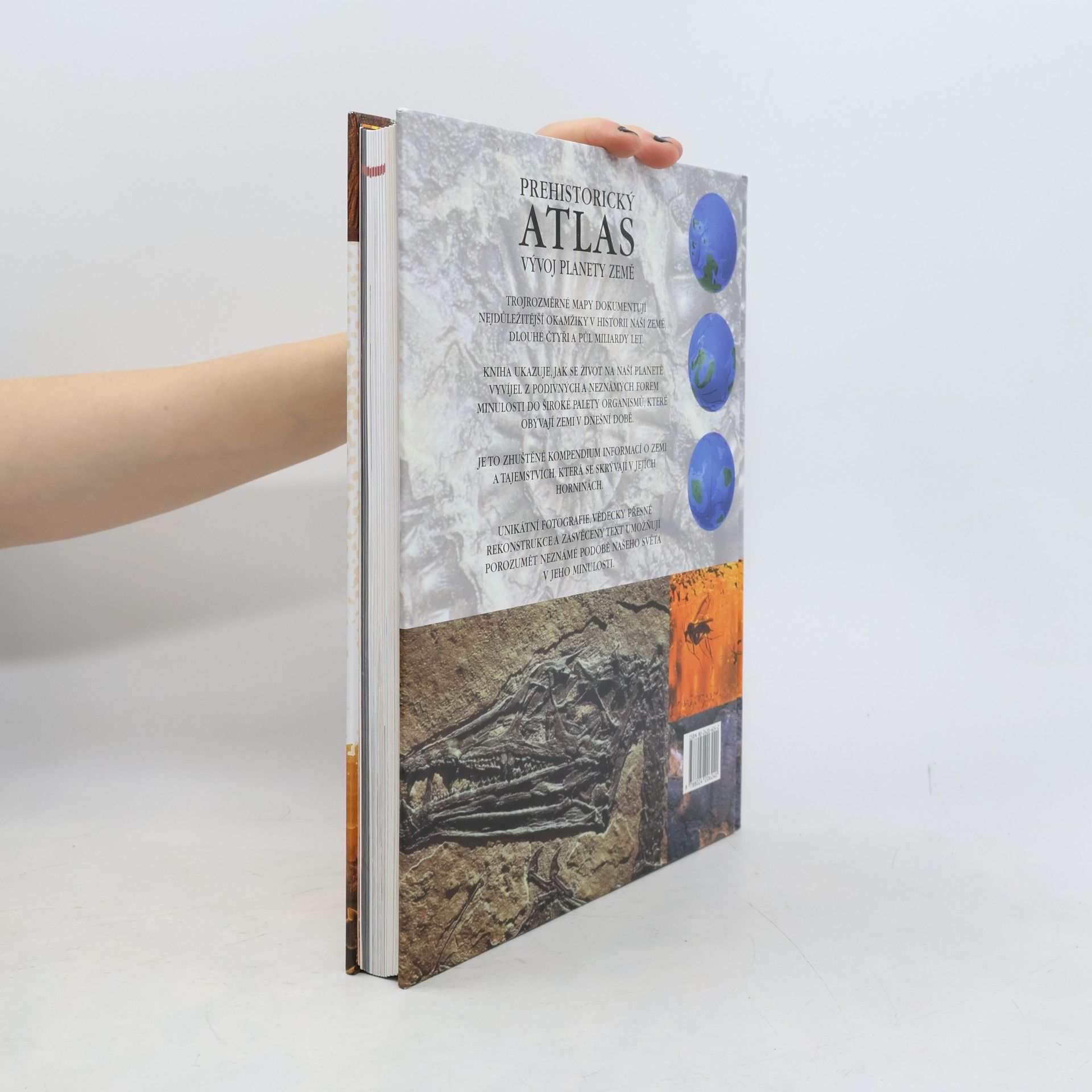 Douglas Palmer Prehistorický atlas - Vývoj planety Země