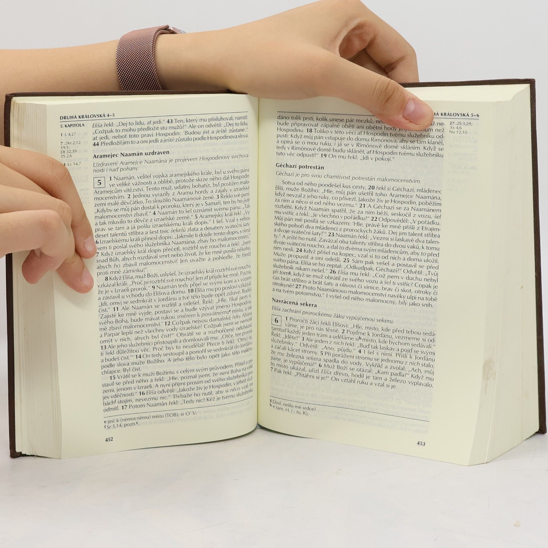 Autorenkollektiv Bible. Písmo svaté Starého a Nového zákona