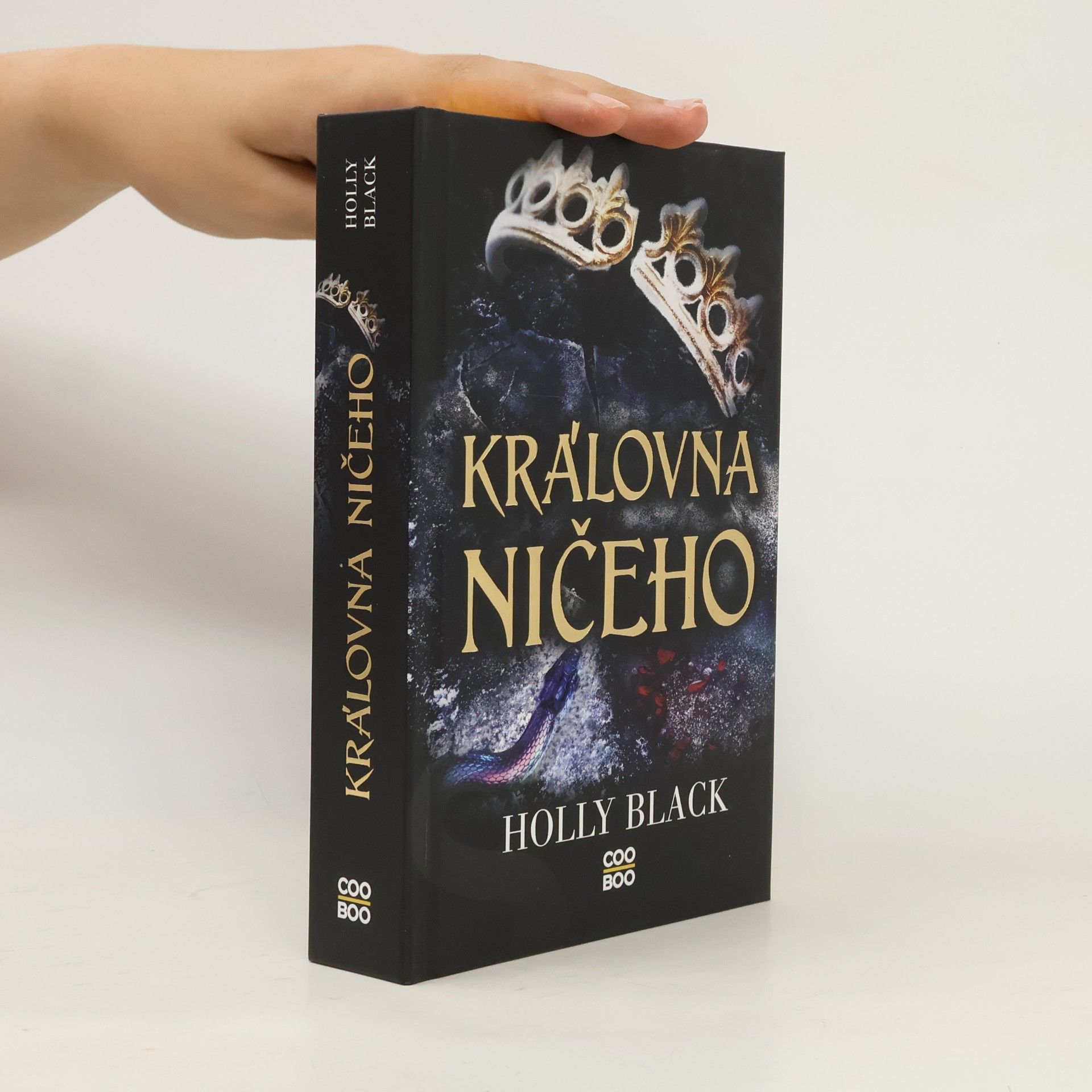 Holly Black Královna ničeho