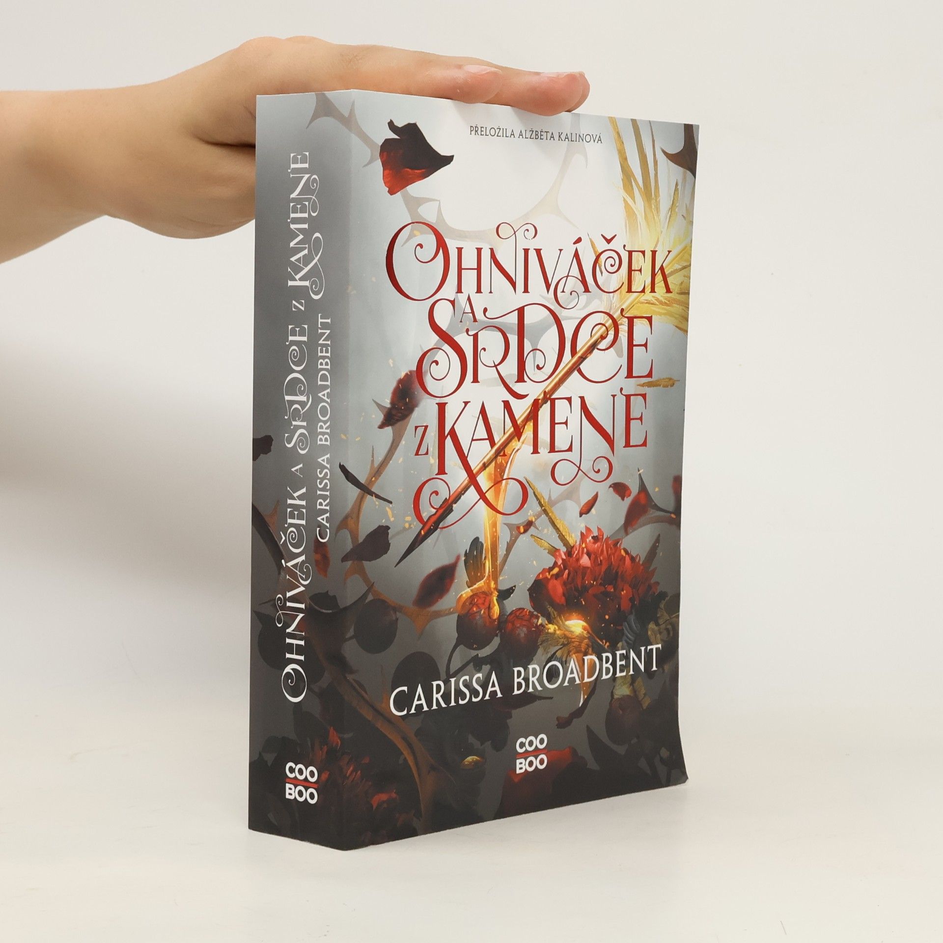 Carissa Broadbent Ohniváček a srdce z kamene