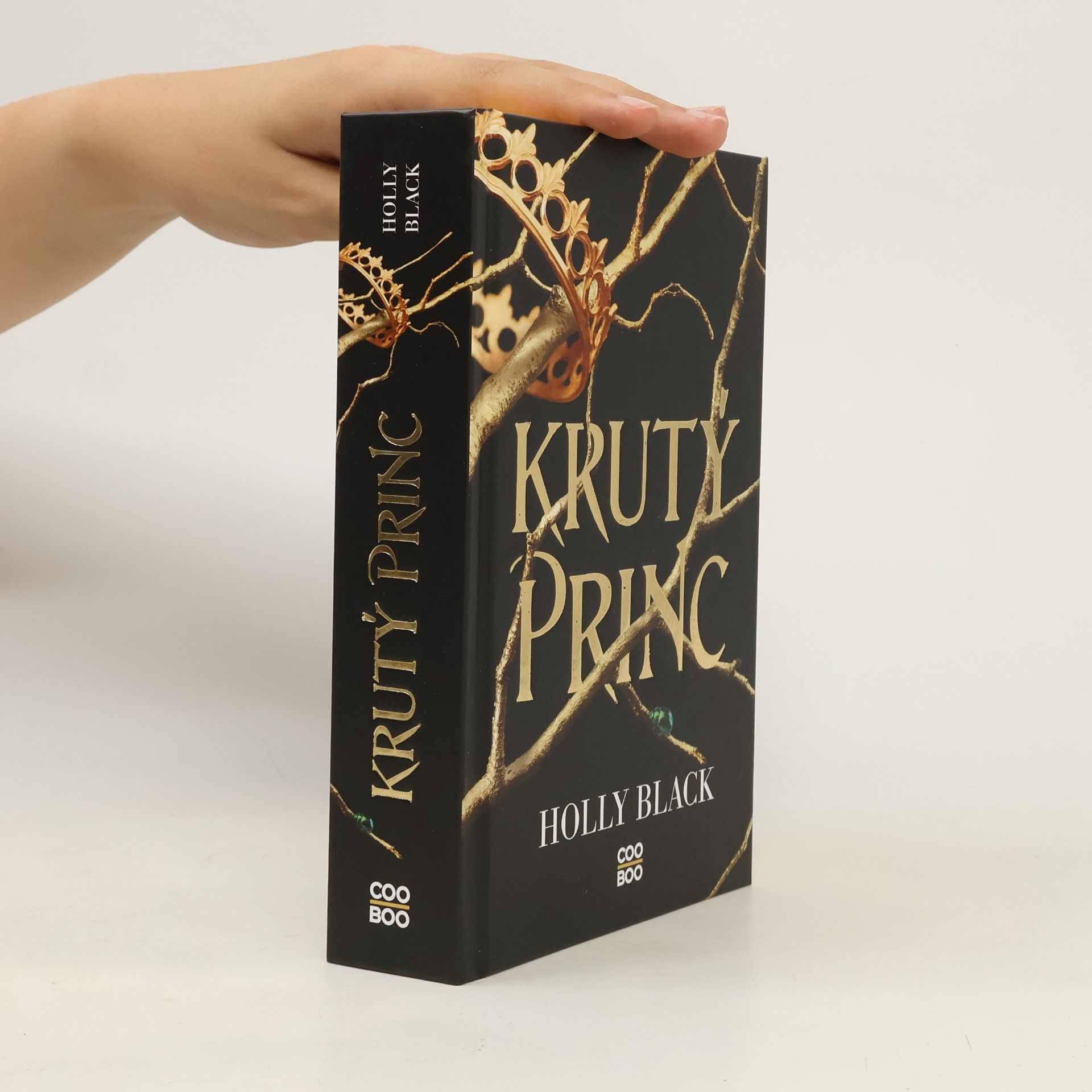 Holly Black Krutý princ
