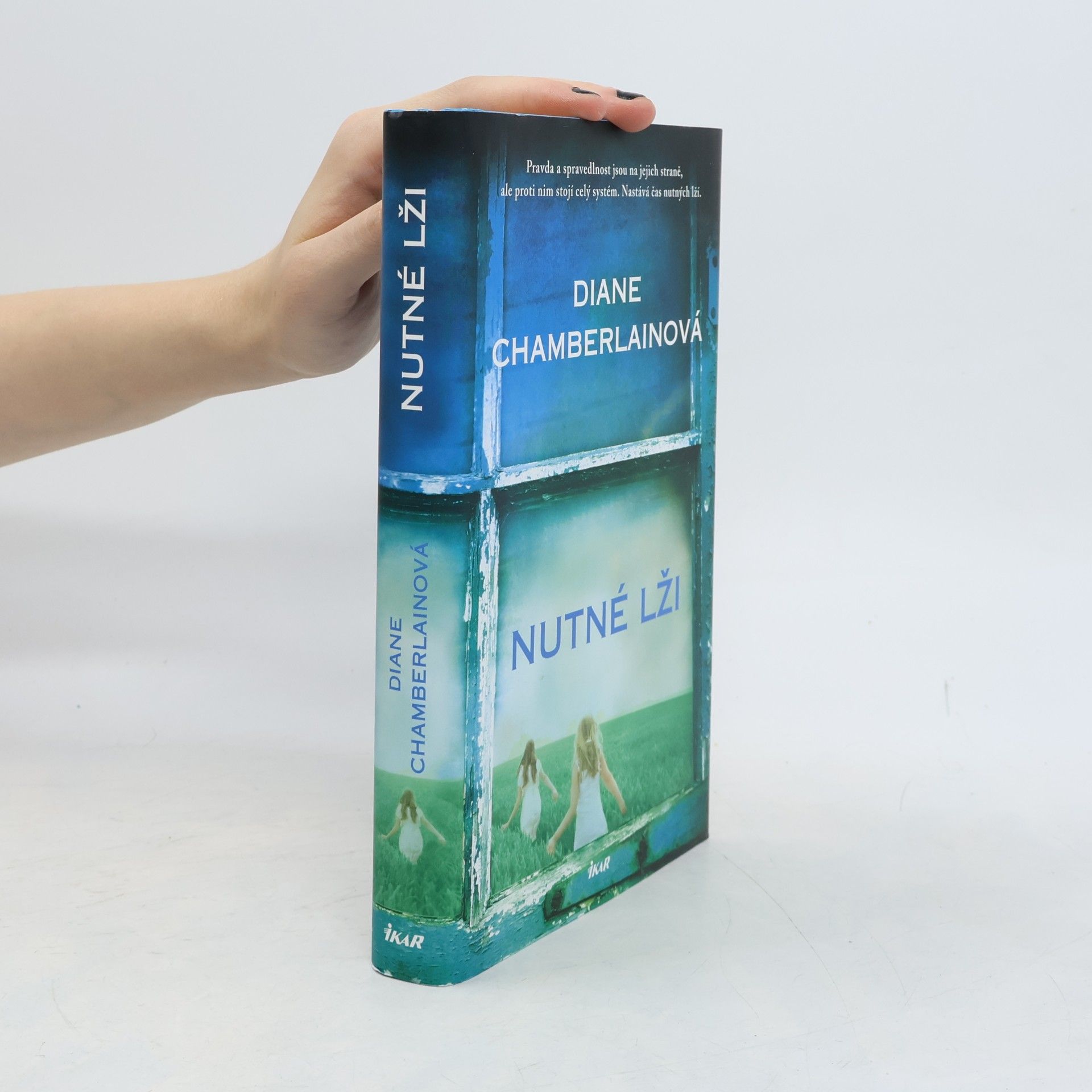 Diane Chamberlain Nutné lži