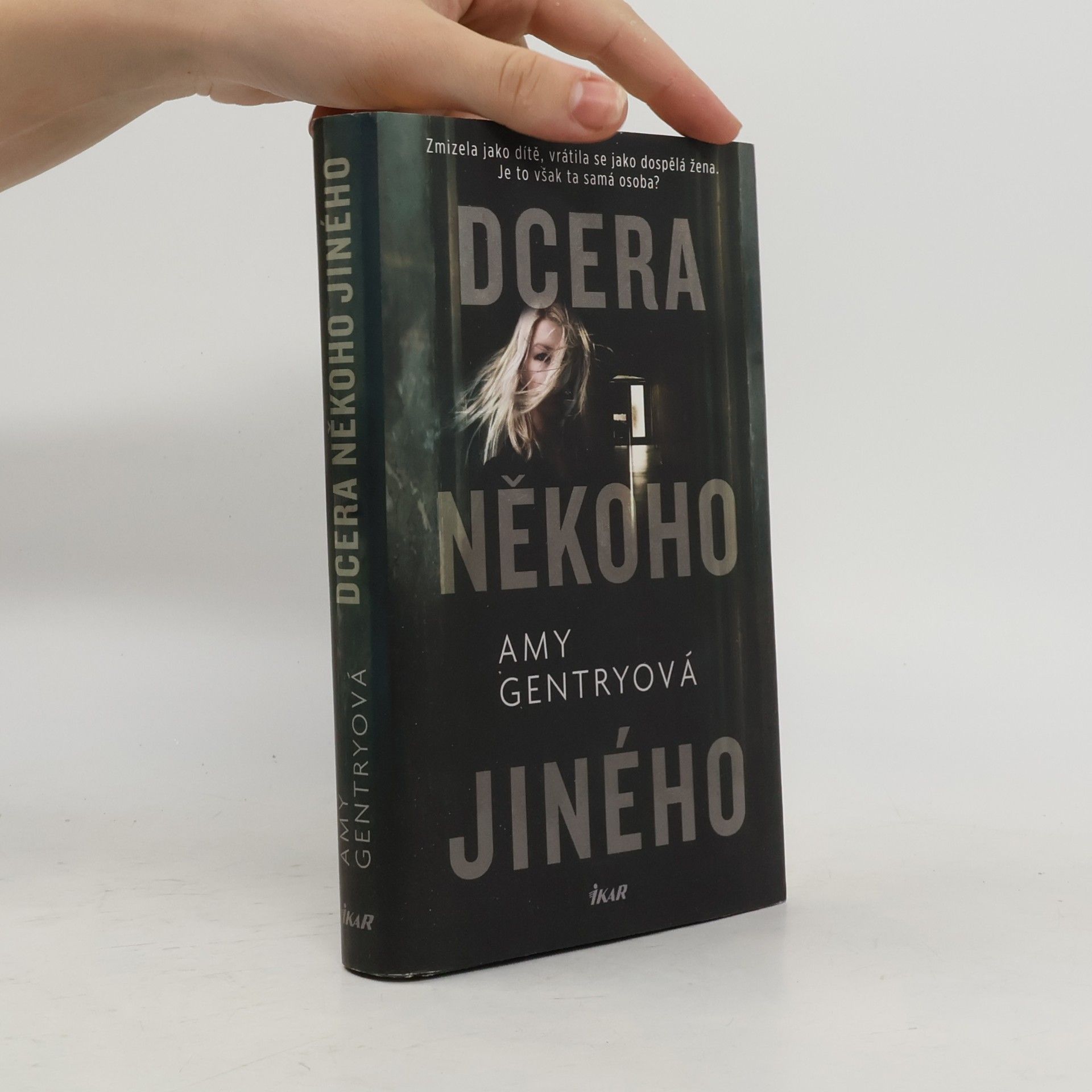 Amy Gentry Dcera někoho jiného