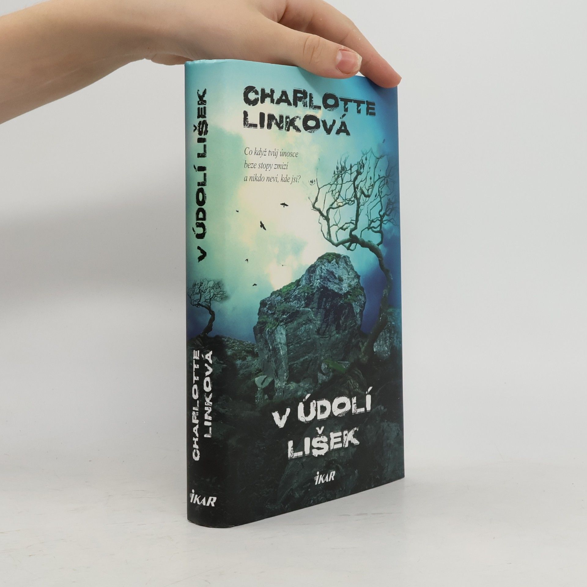 Charlotte Link V údolí lišek
