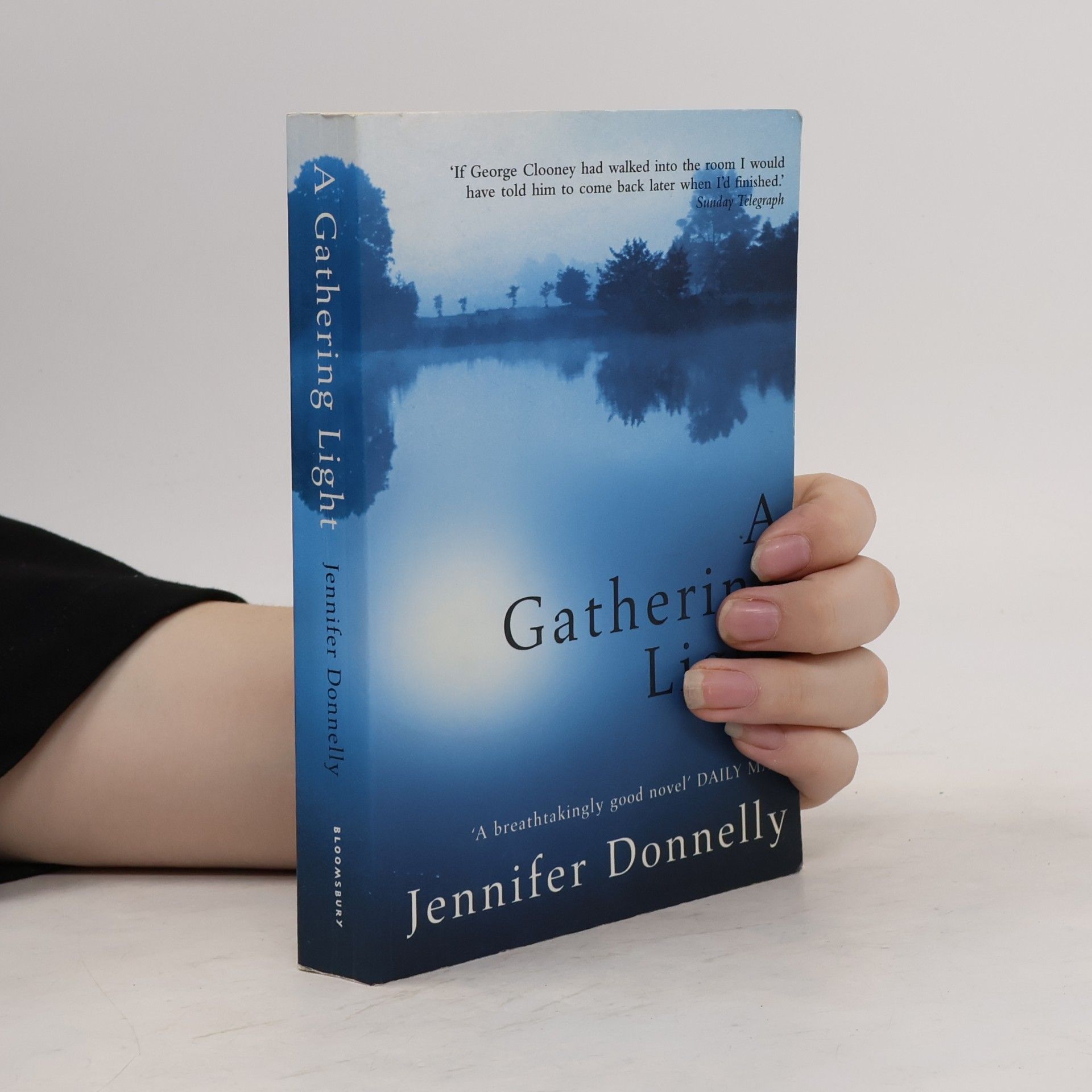 Jennifer Donnelly A gathering light