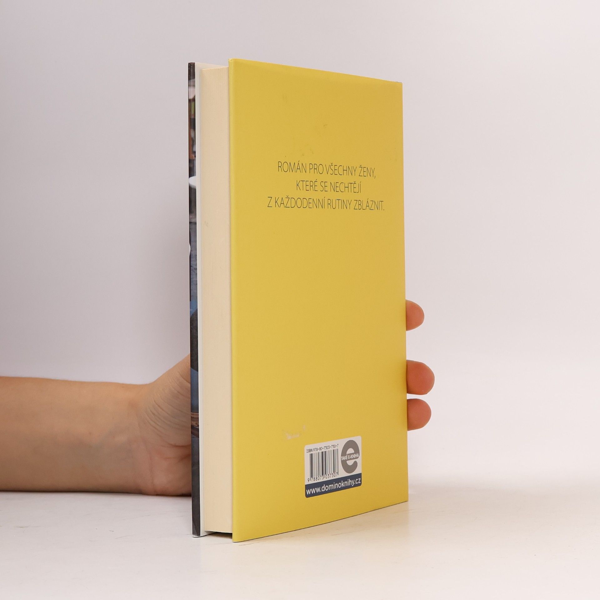 Tess Stimson Manželka, která utekla