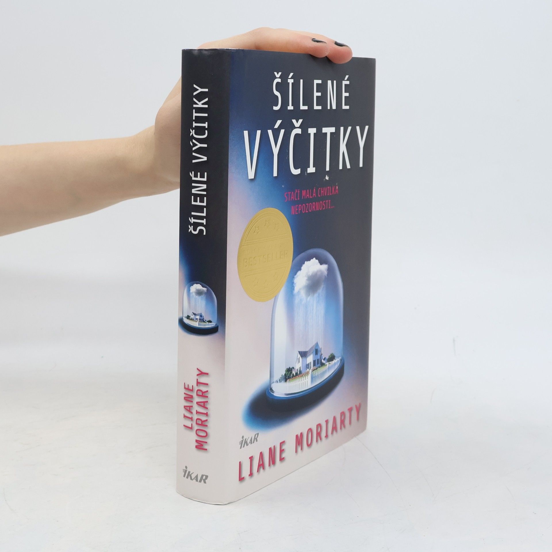 Liane Moriarty Šílené výčitky