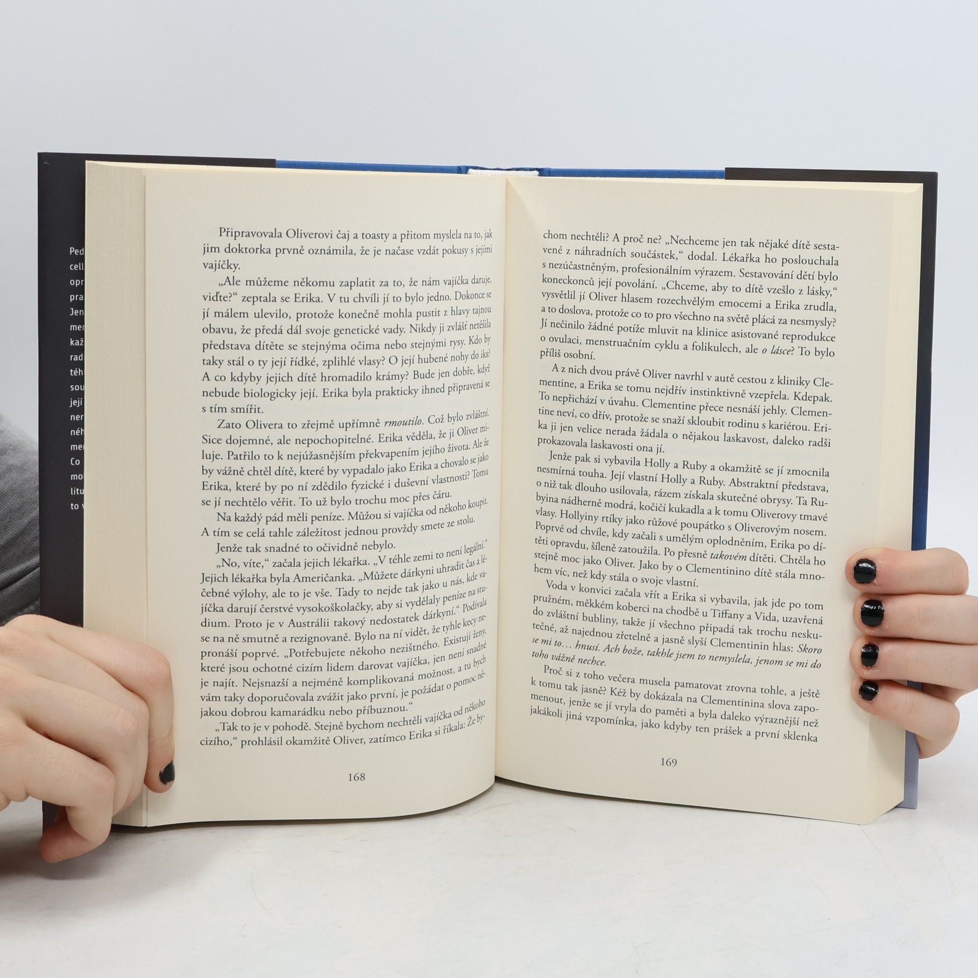Liane Moriarty Šílené výčitky